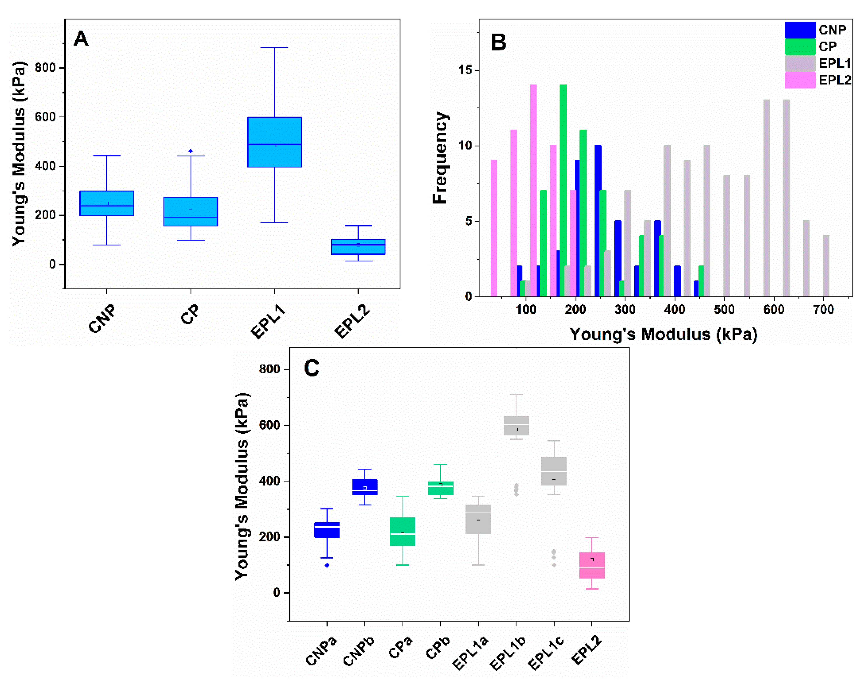 Ijms 22 07778 g002 Ijms 22 07778 g002