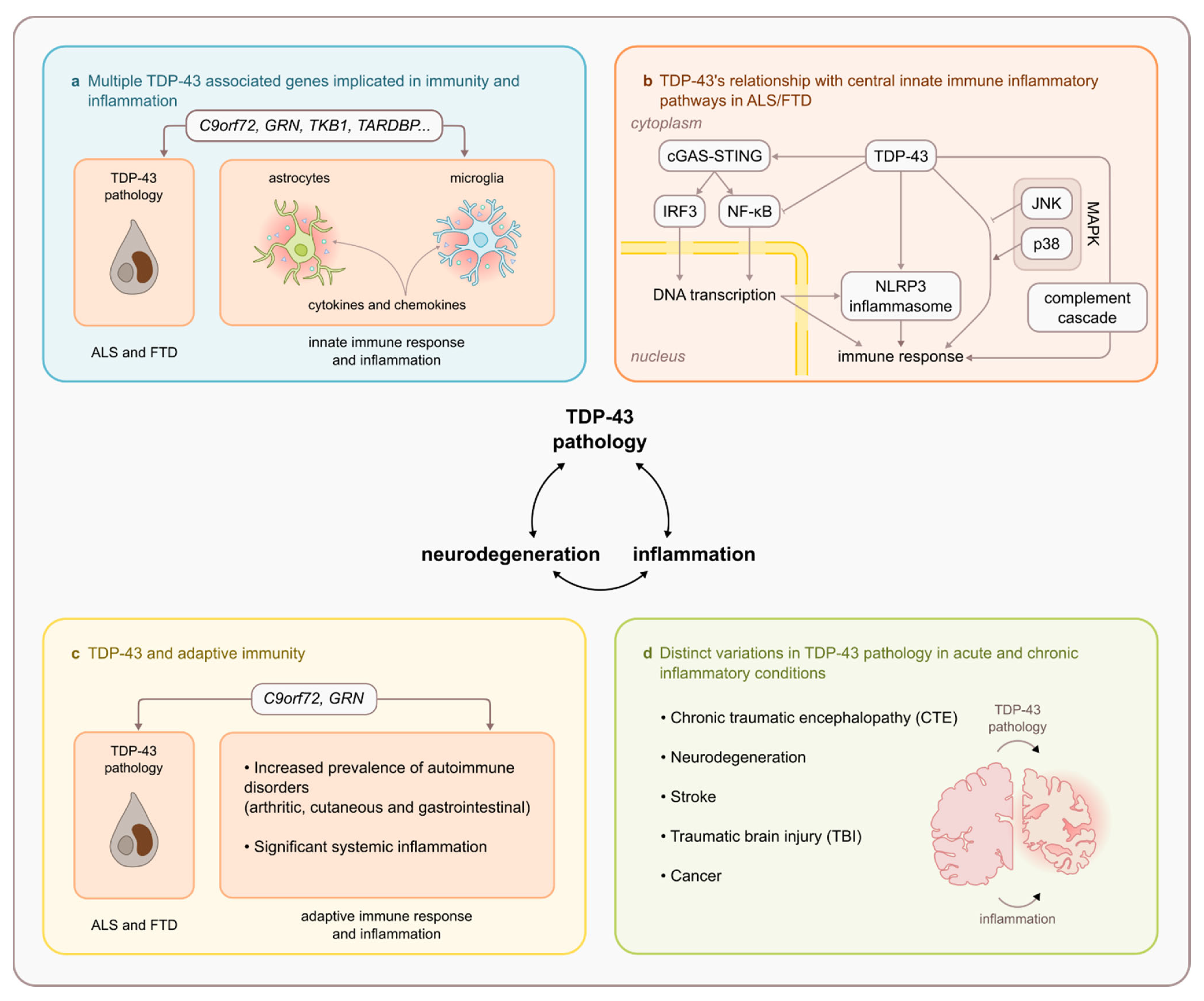 Ijms 22 07781 g002 Ijms 22 07781 g002