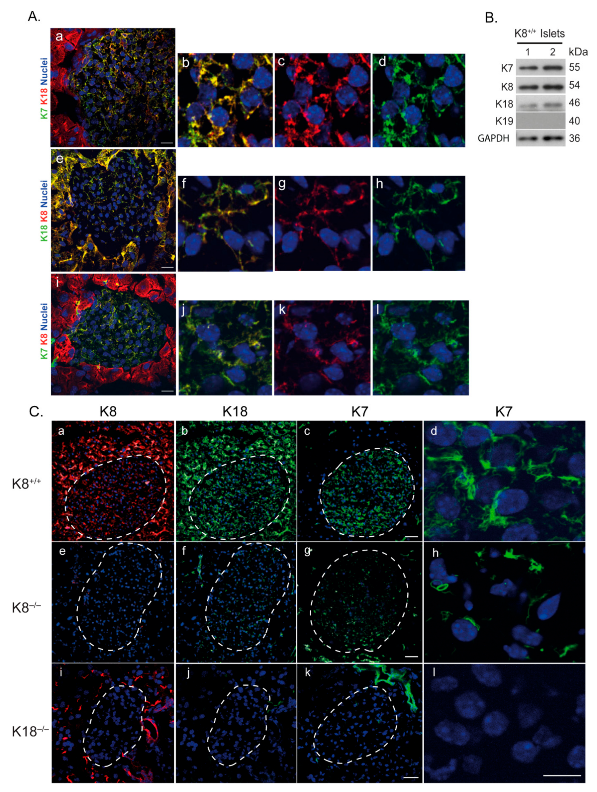 Ijms 22 07784 g001 550