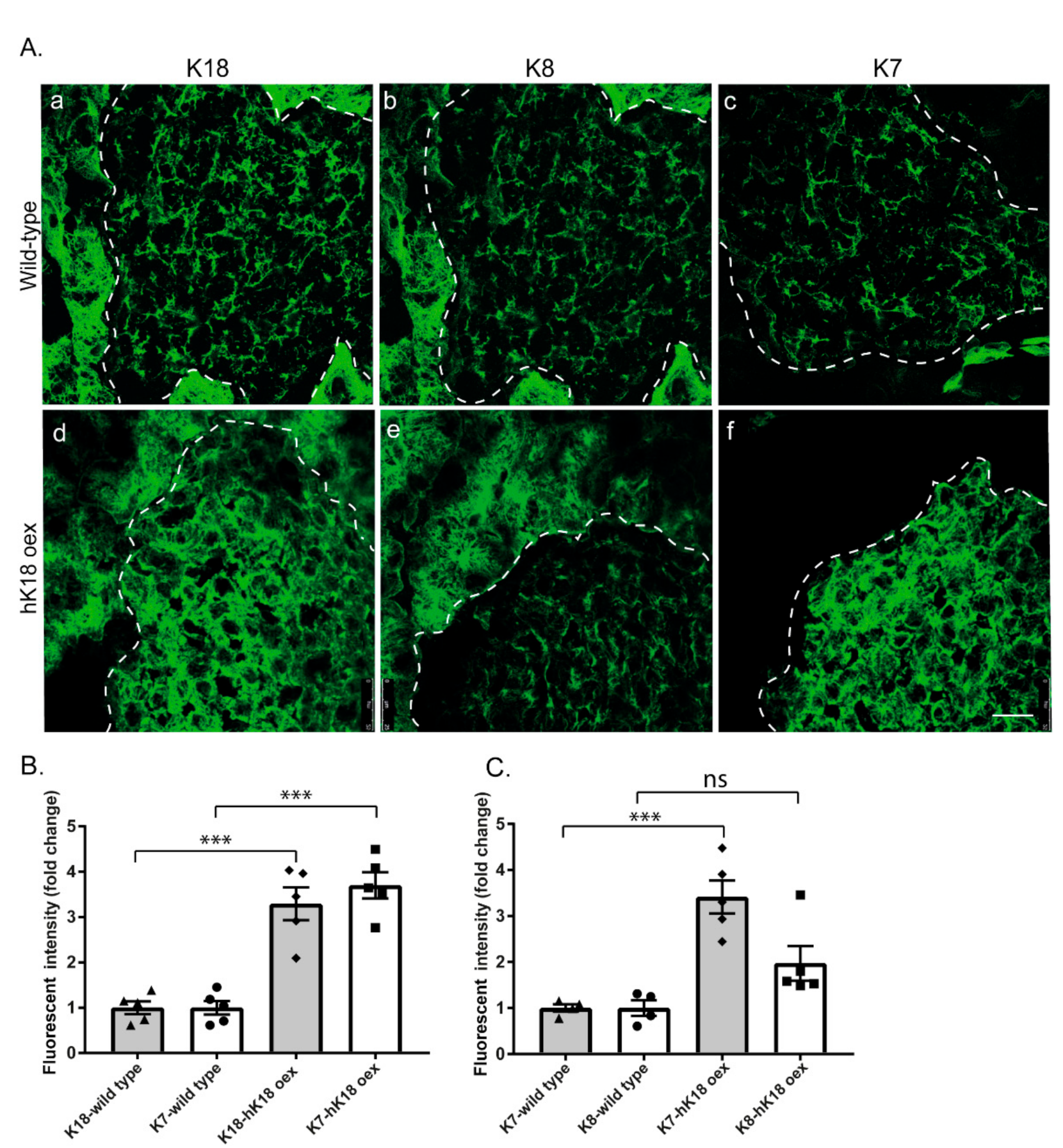 Ijms 22 07784 g003 550