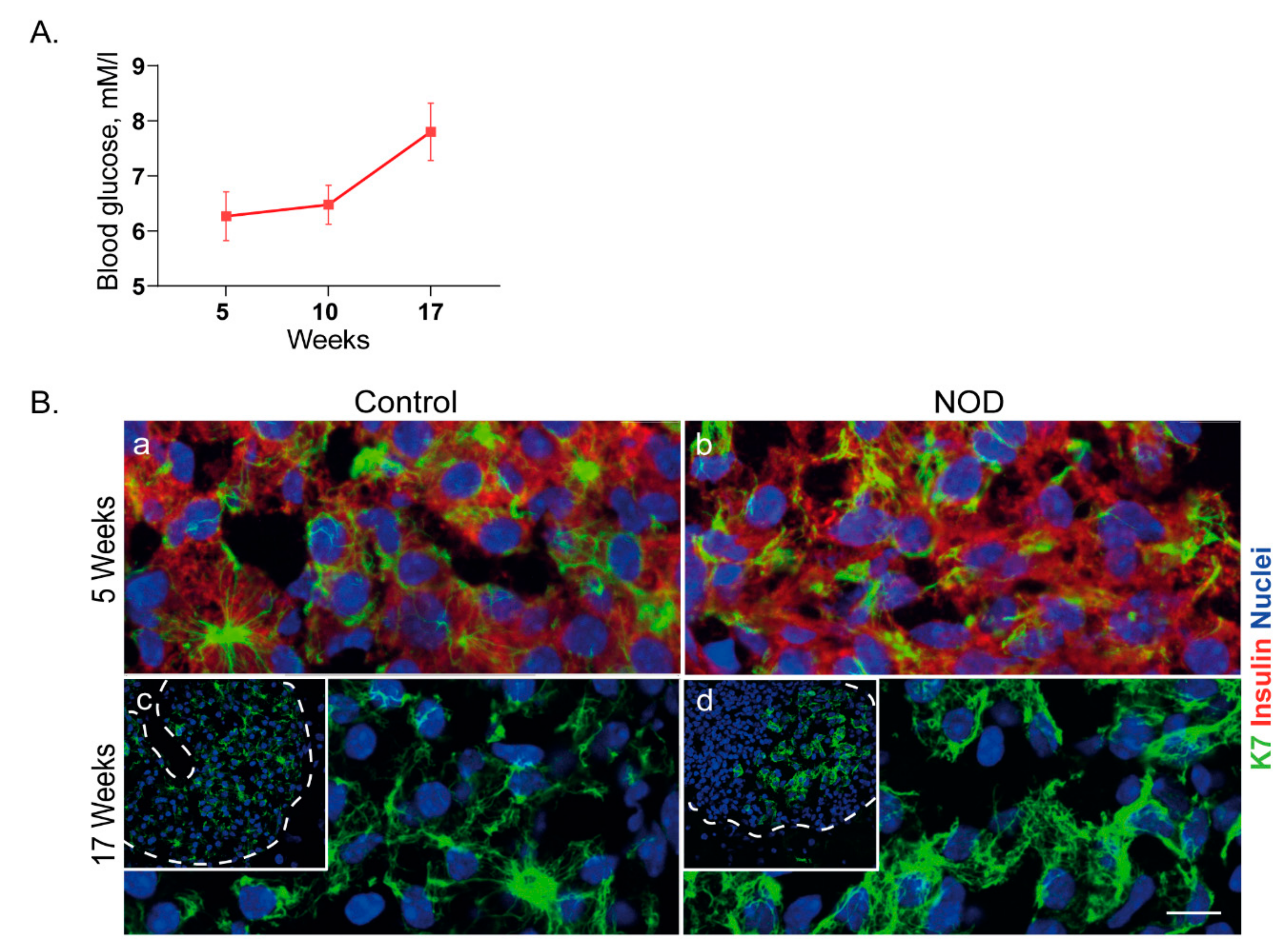 Ijms 22 07784 g005 550