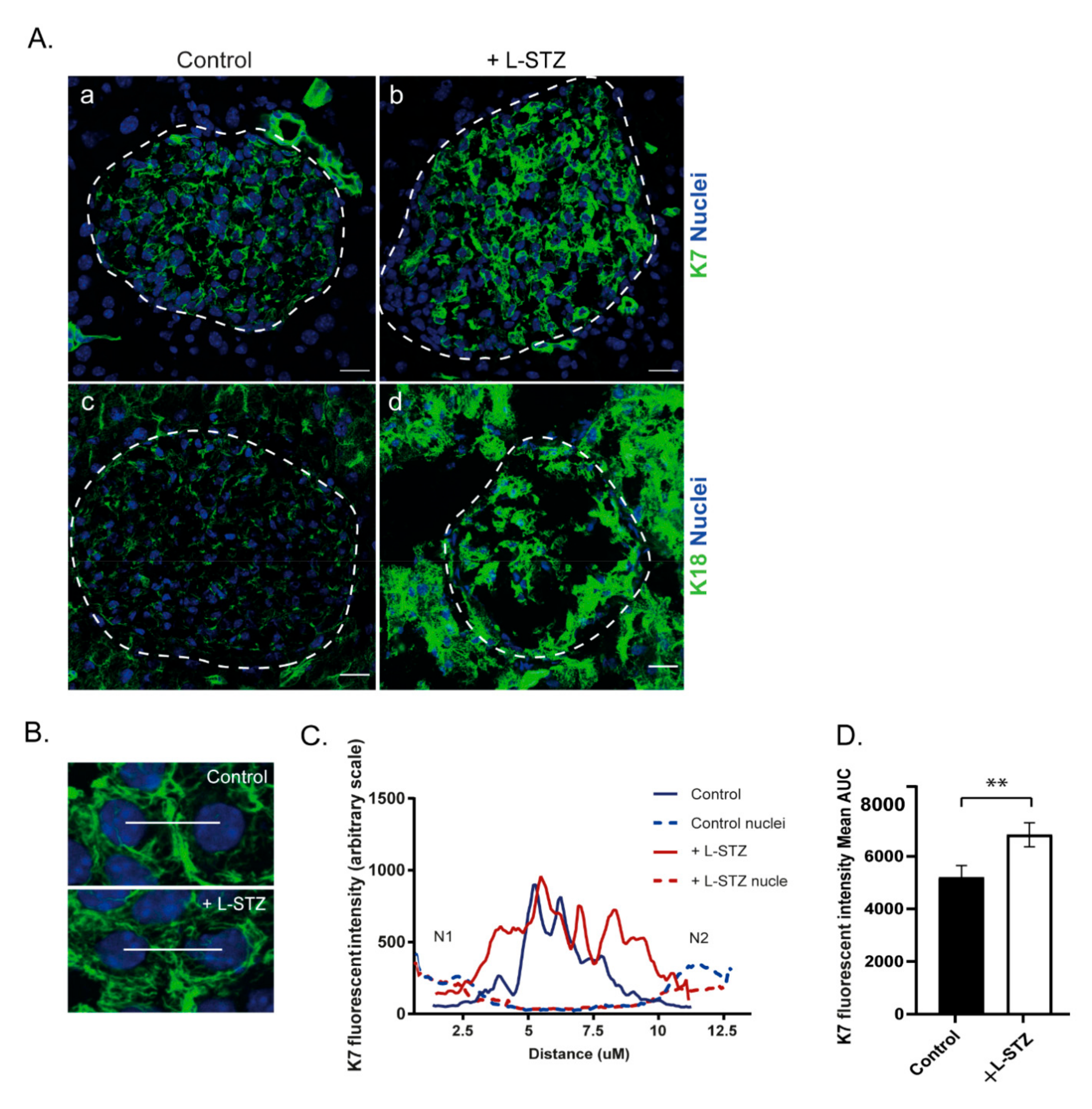 Ijms 22 07784 g006 550