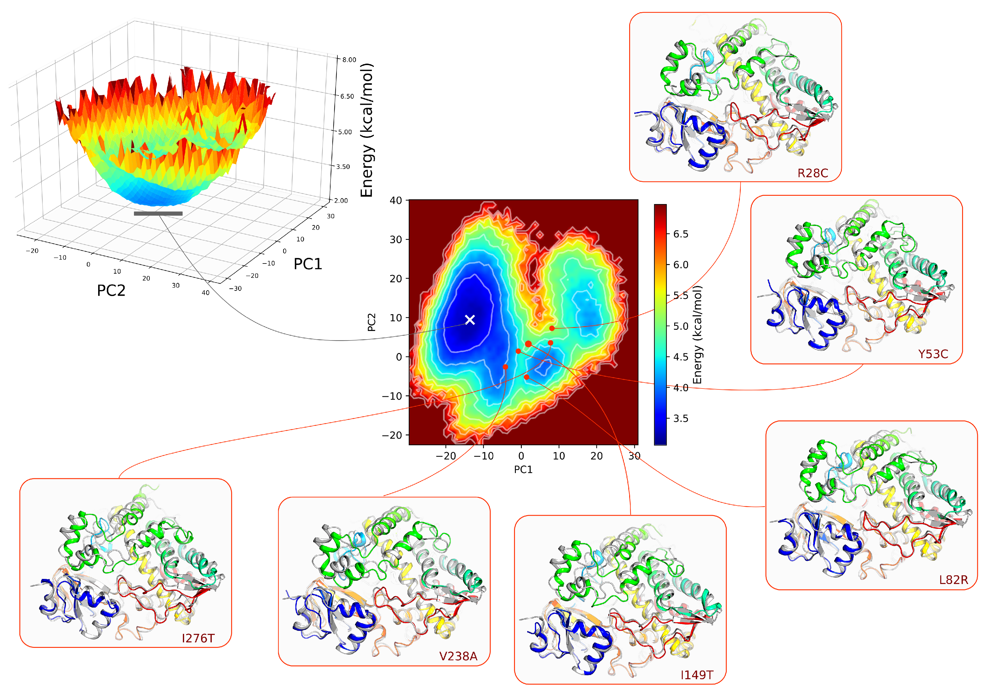 Ijms 22 07786 g005 550