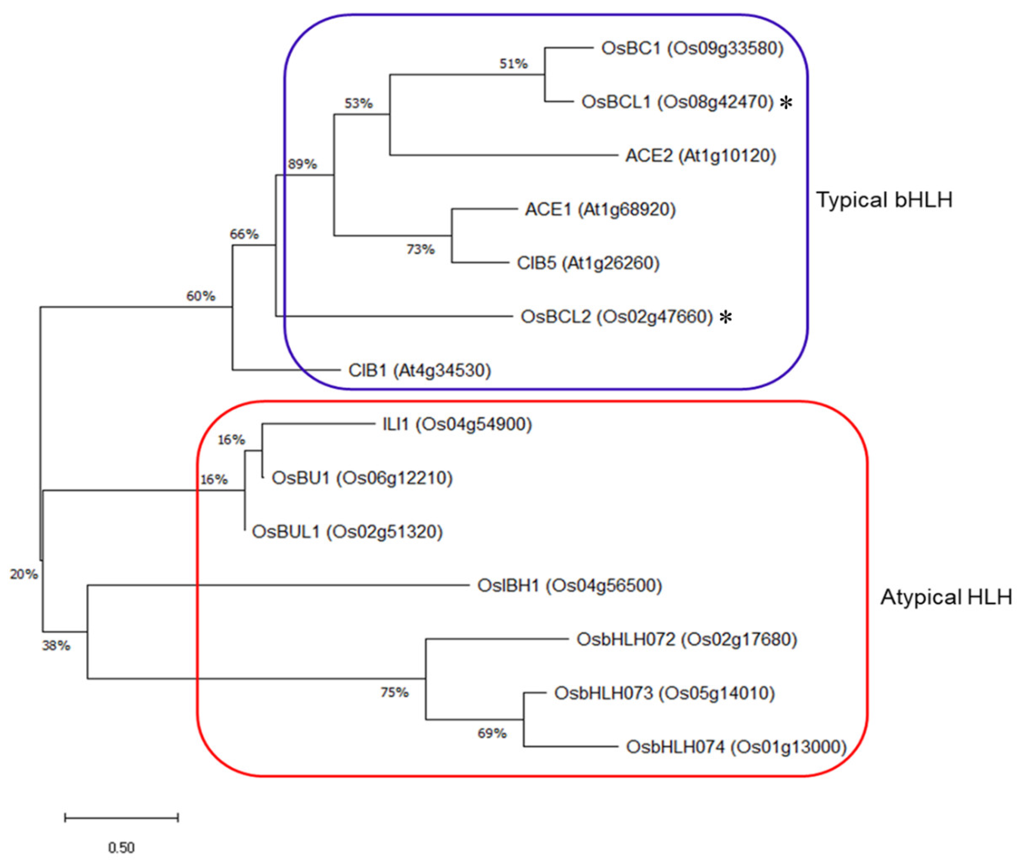 Ijms 22 07792 g001 550