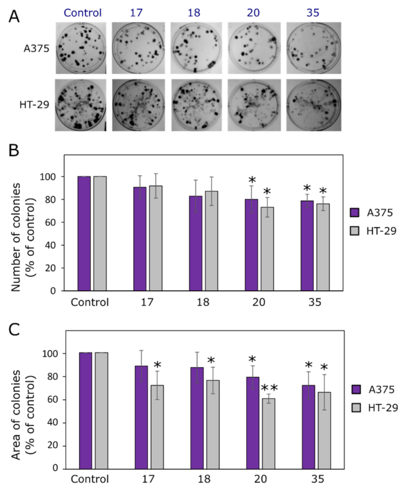 Ijms 22 07799 g003 Ijms 22 07799 g003