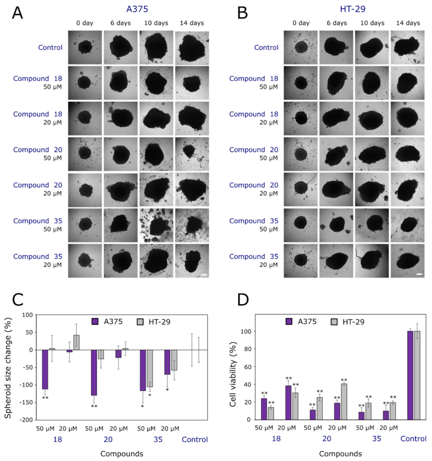 Ijms 22 07799 g004 Ijms 22 07799 g004