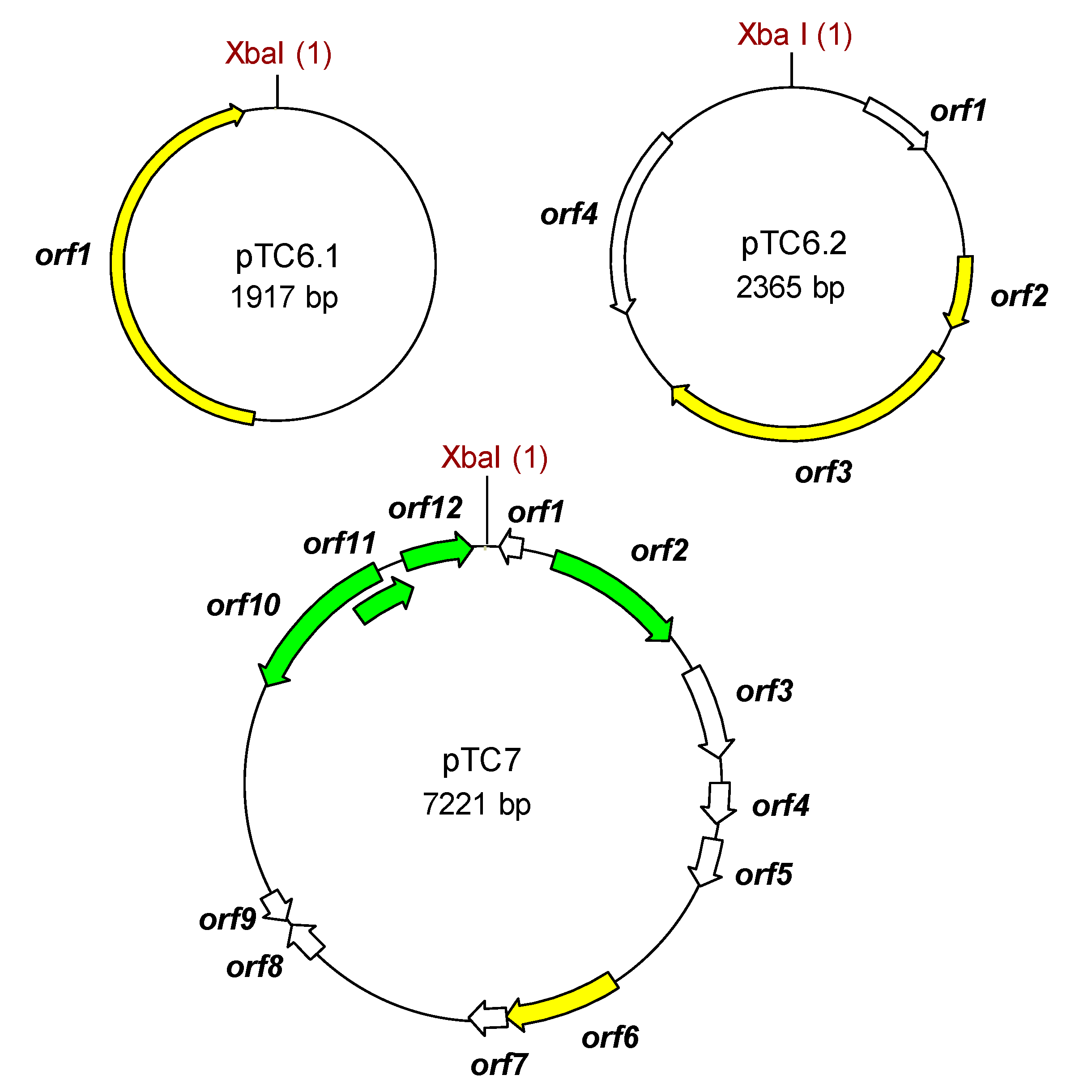 Ijms 22 07801 g003 Ijms 22 07801 g003