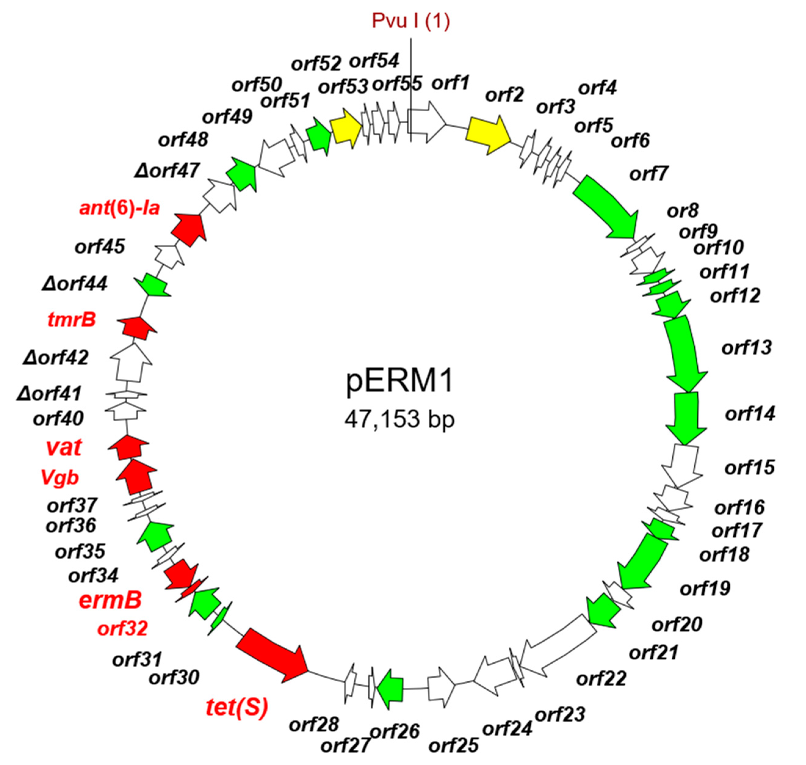 Ijms 22 07801 g004 Ijms 22 07801 g004