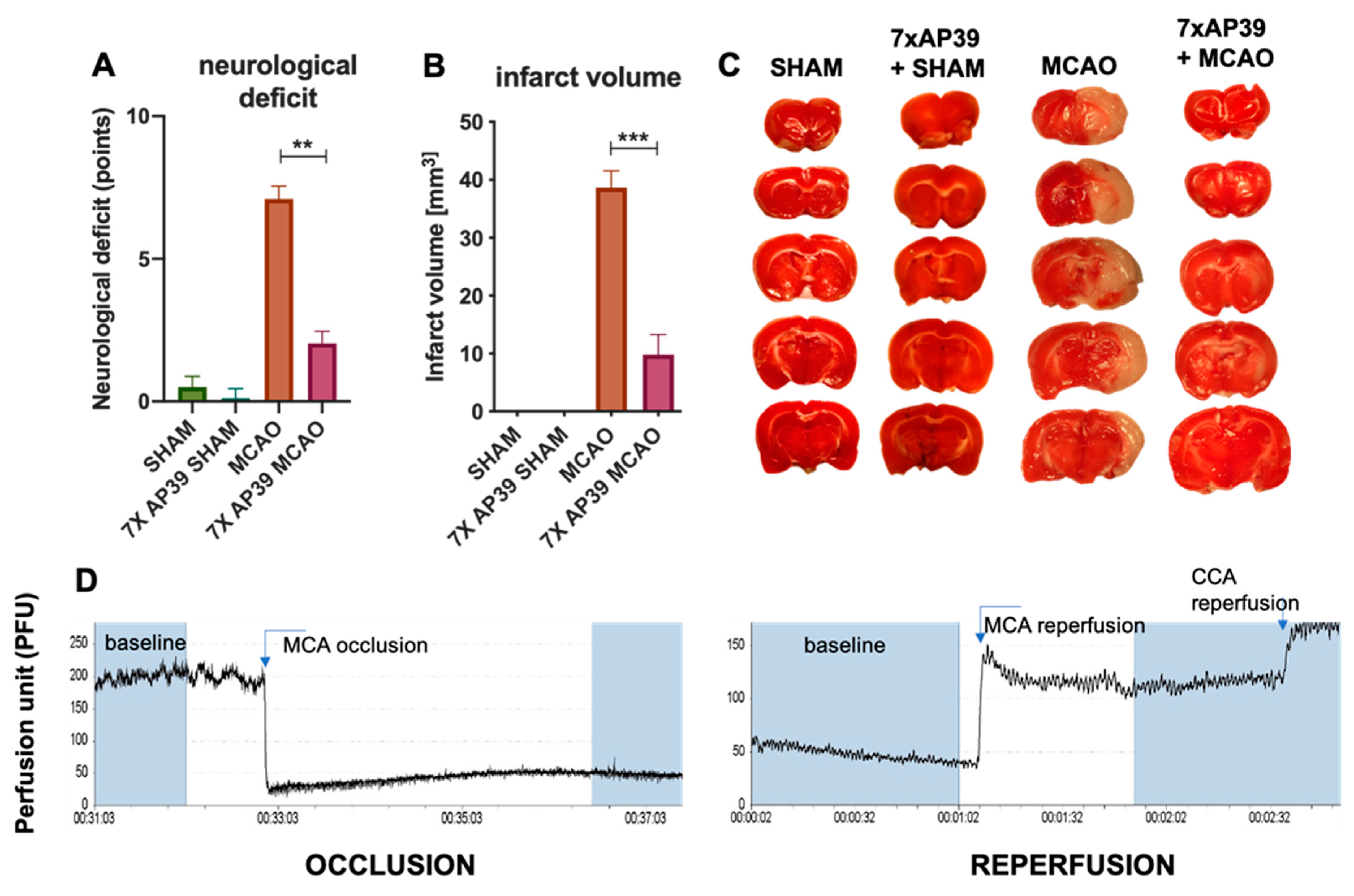 https://www.mdpi.com/ijms/ijms-22-07816/article_deploy/html/images/ijms-22-07816-g001.png