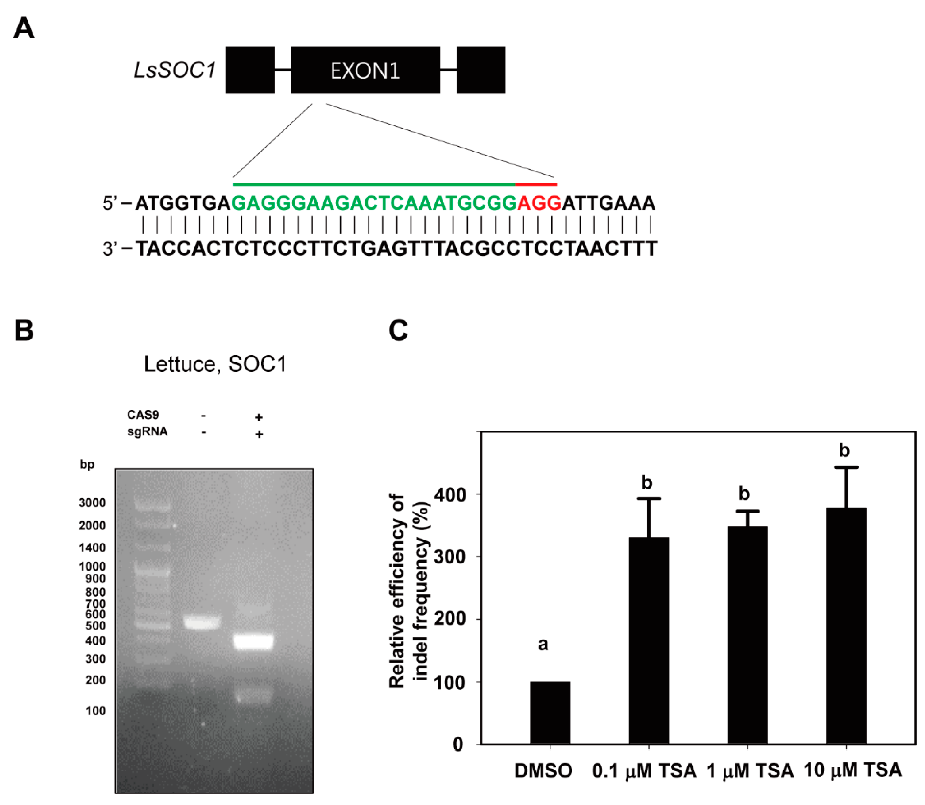 Ijms 22 07817 g001 Ijms 22 07817 g001