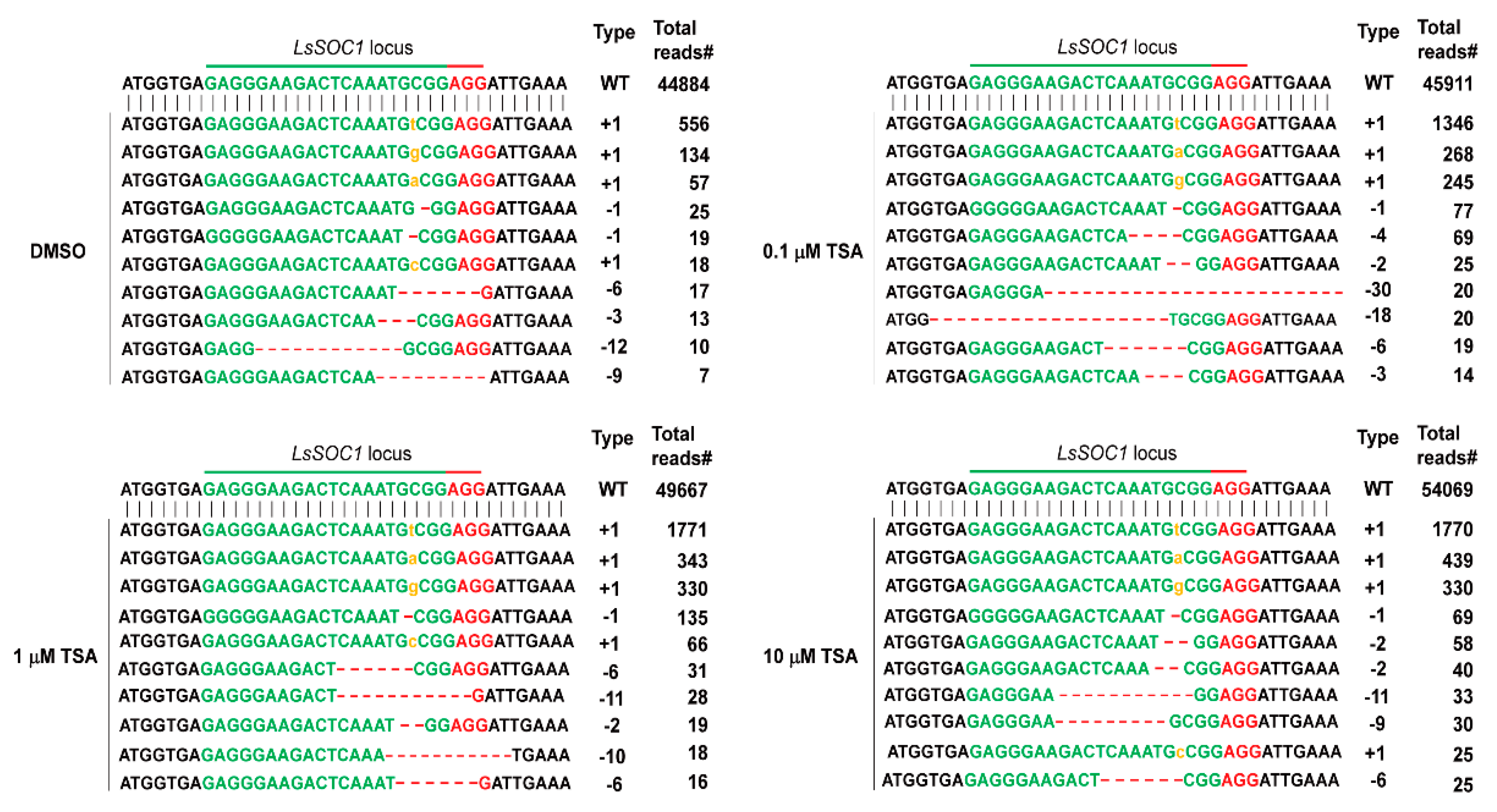 Ijms 22 07817 g003 Ijms 22 07817 g003