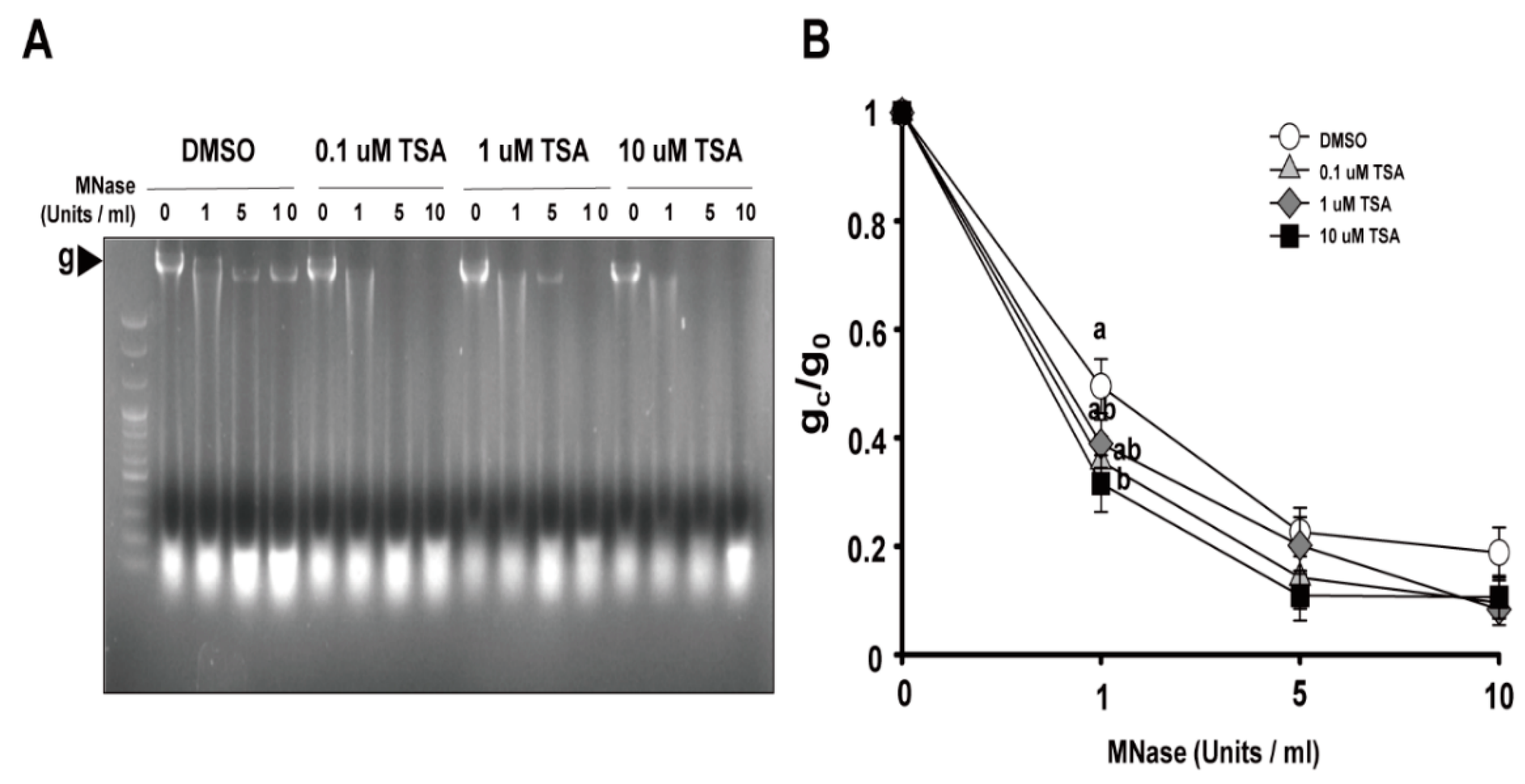 Ijms 22 07817 g004 Ijms 22 07817 g004