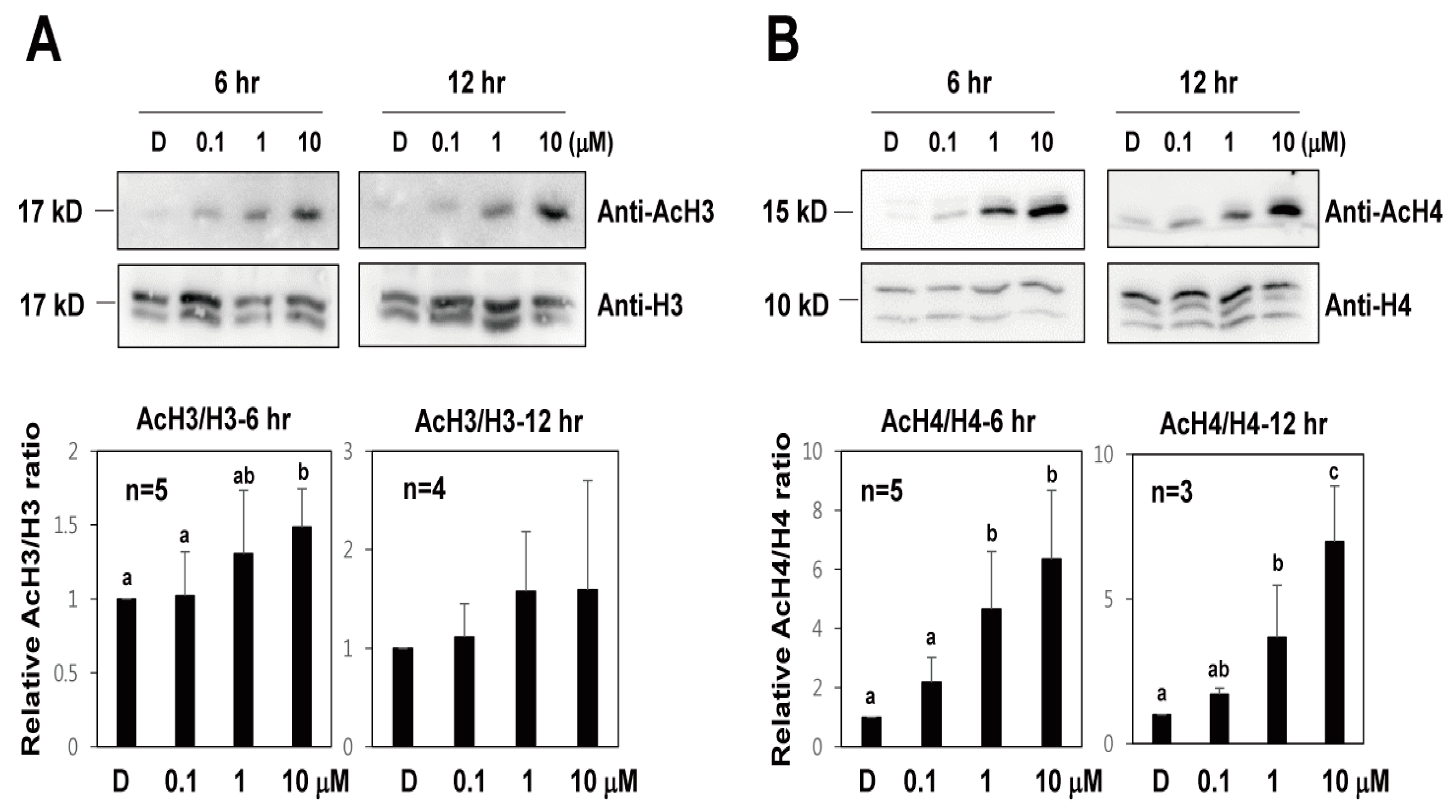 Ijms 22 07817 g005 Ijms 22 07817 g005