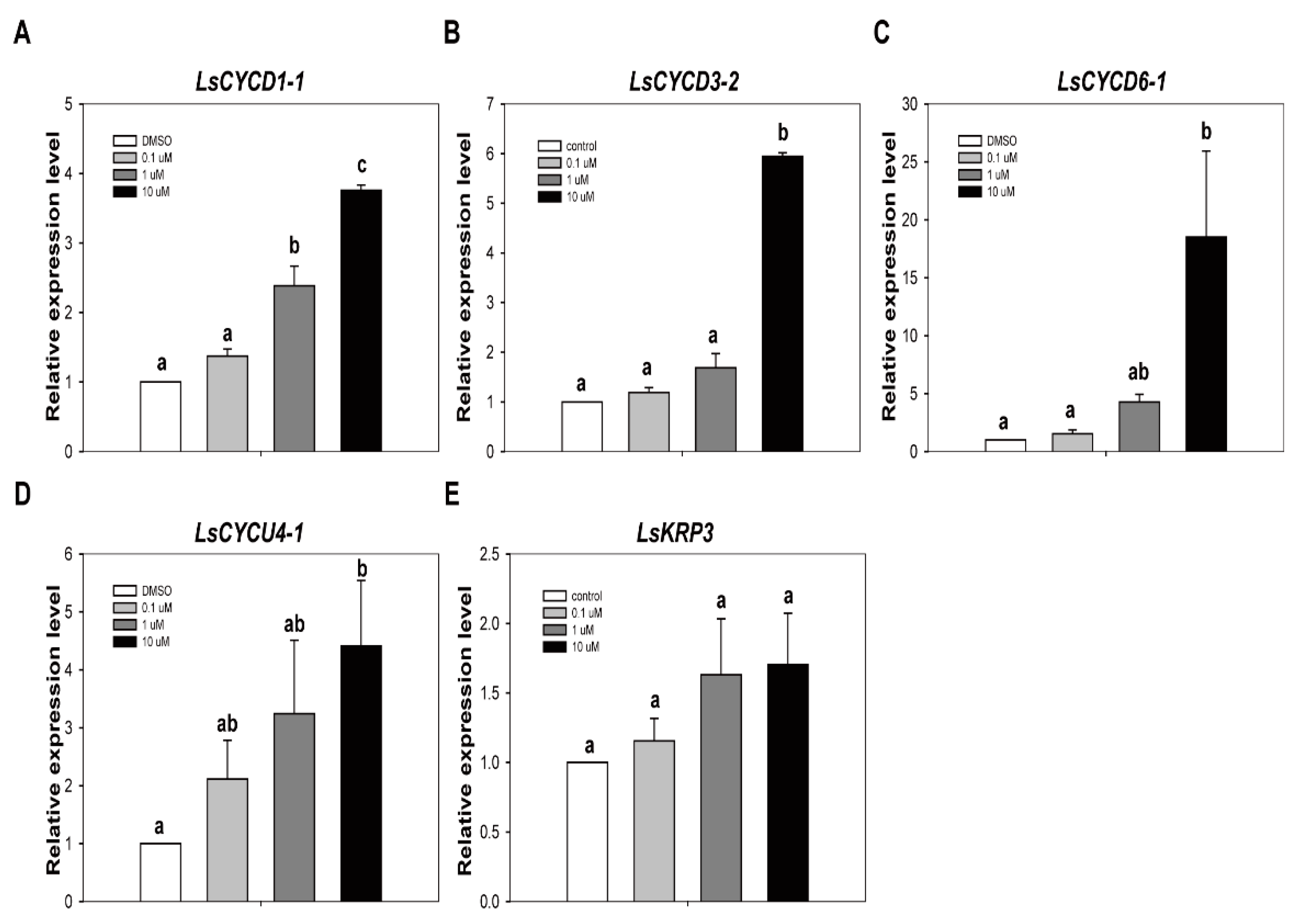 Ijms 22 07817 g006 Ijms 22 07817 g006