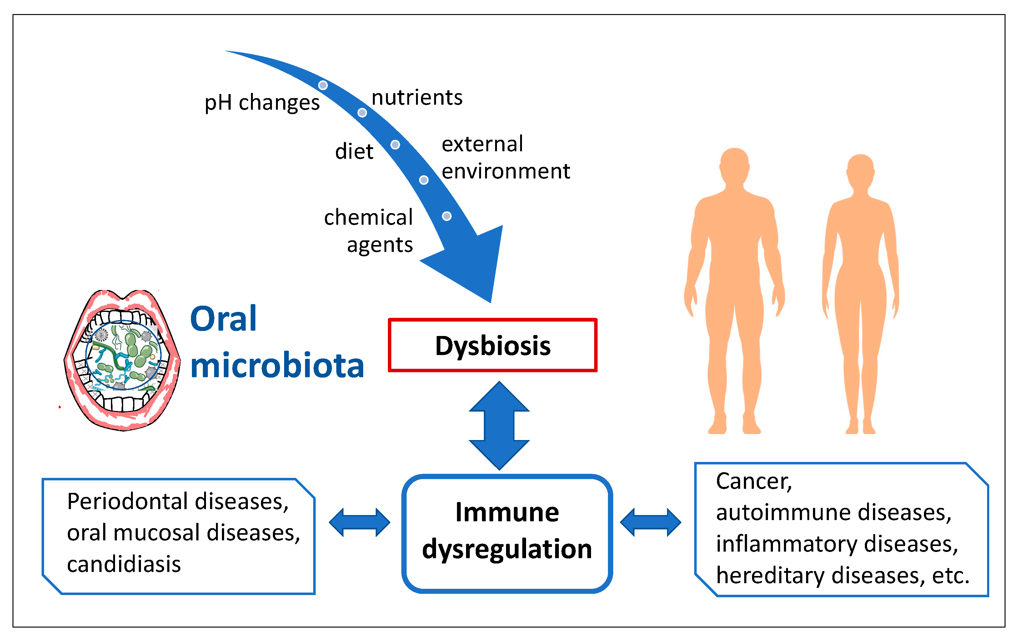 Ijms 22 07821 g004 550