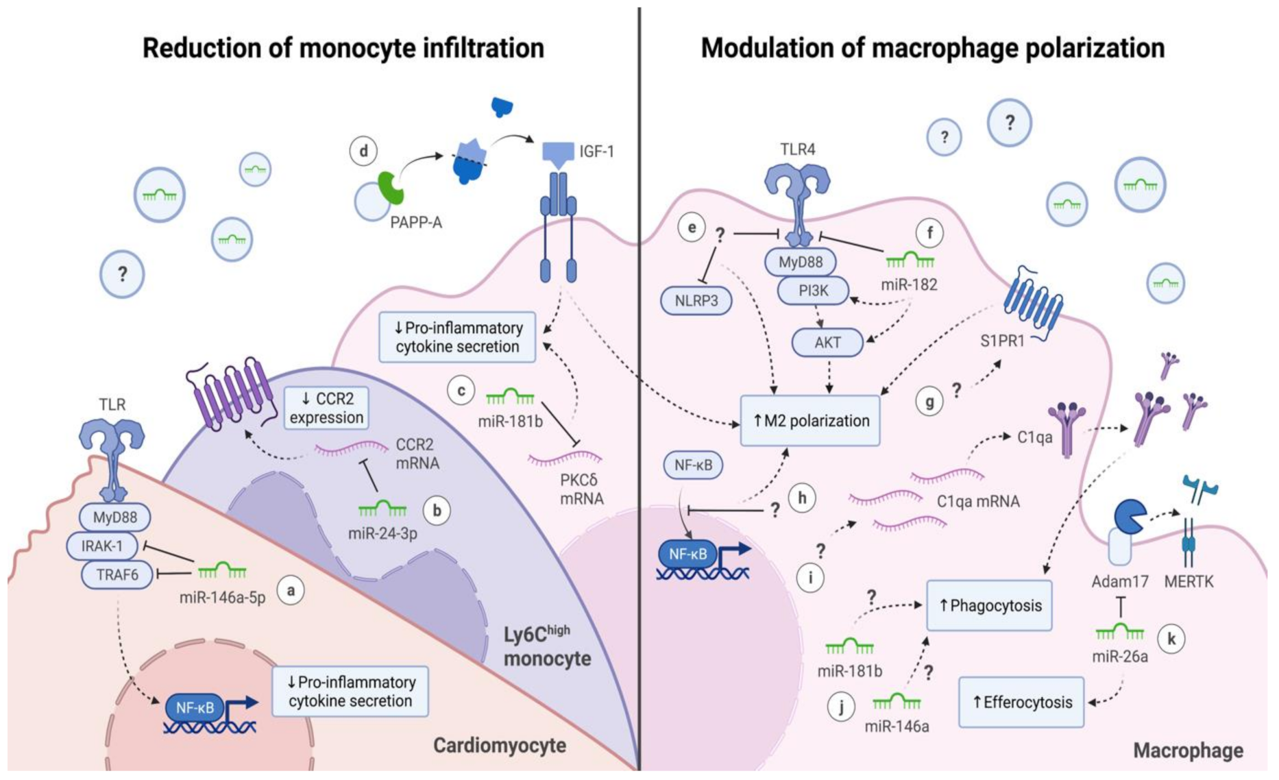 Ijms 22 07831 g002 550