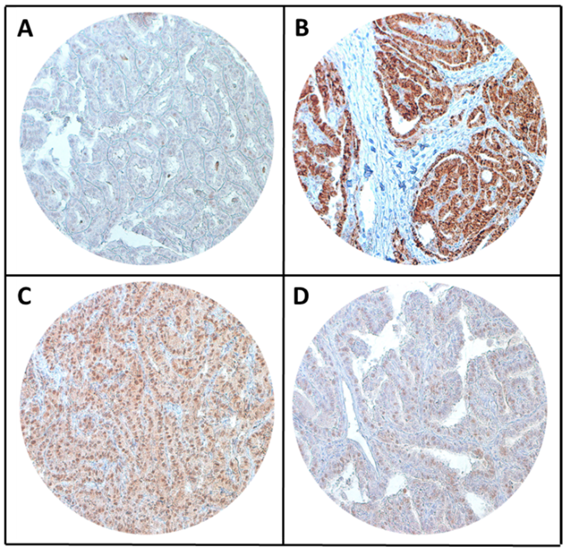 Ijms 22 07833 g001 Ijms 22 07833 g001