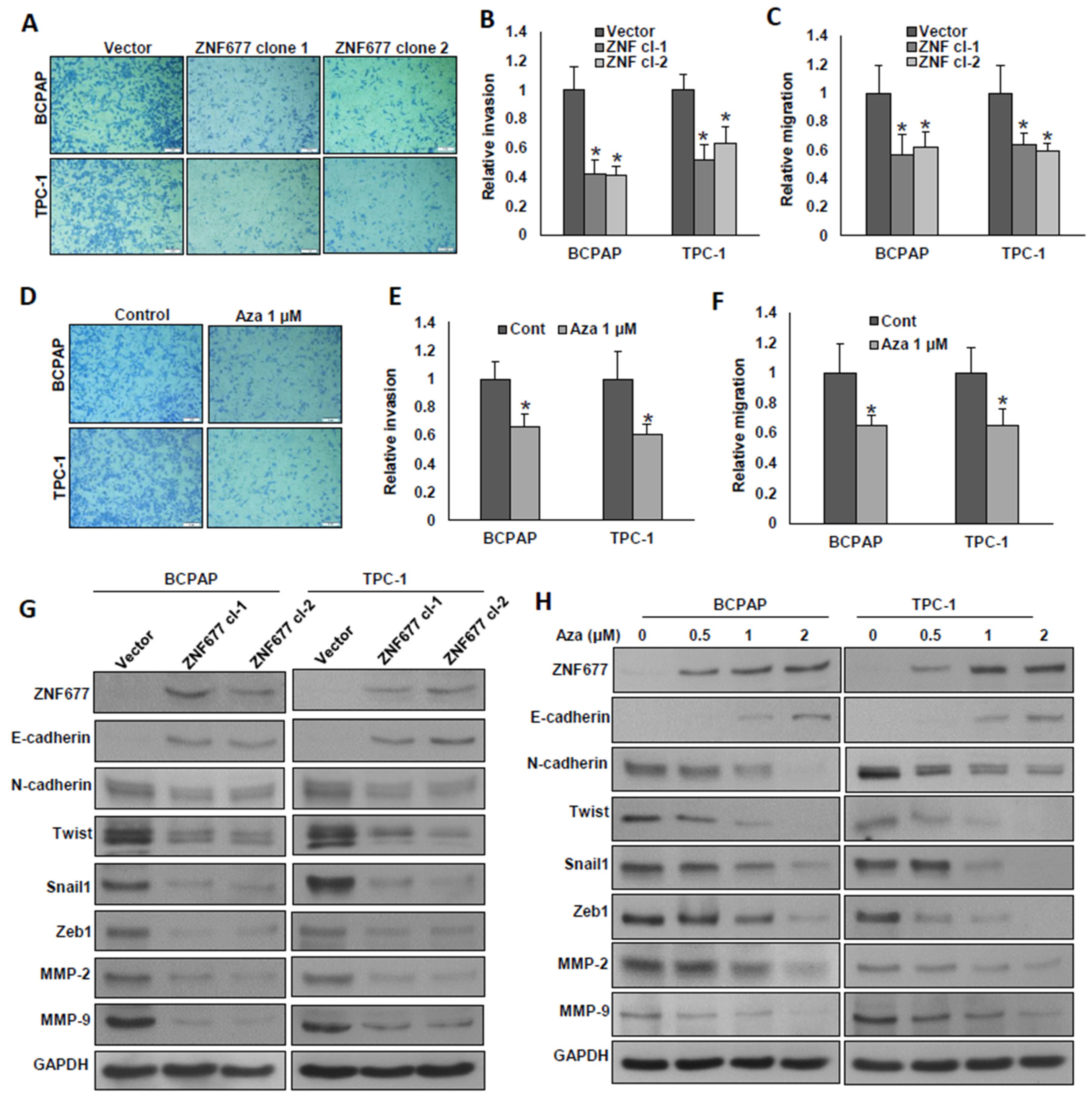 Ijms 22 07833 g005 Ijms 22 07833 g005