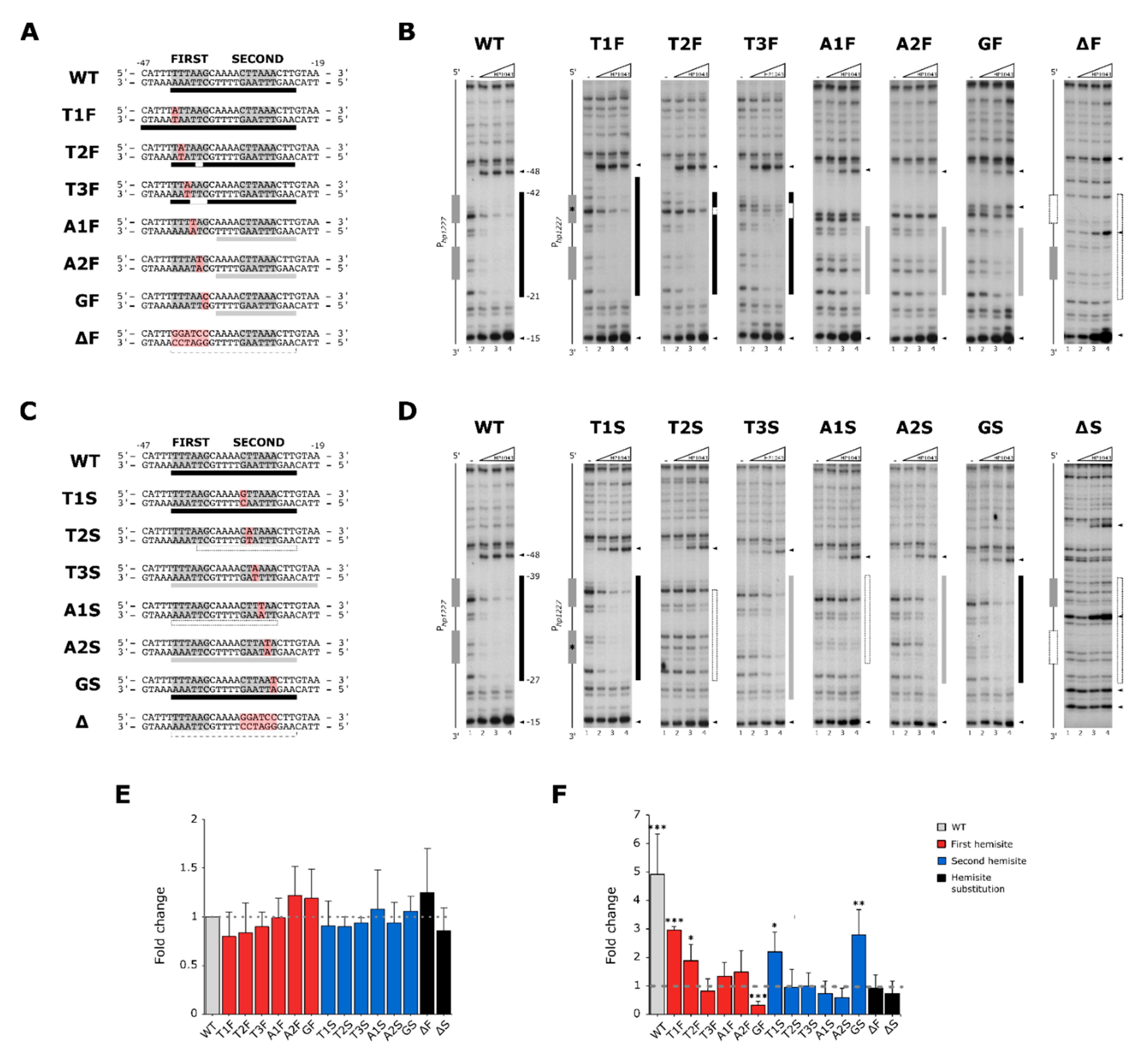 Ijms 22 07848 g001 Ijms 22 07848 g001