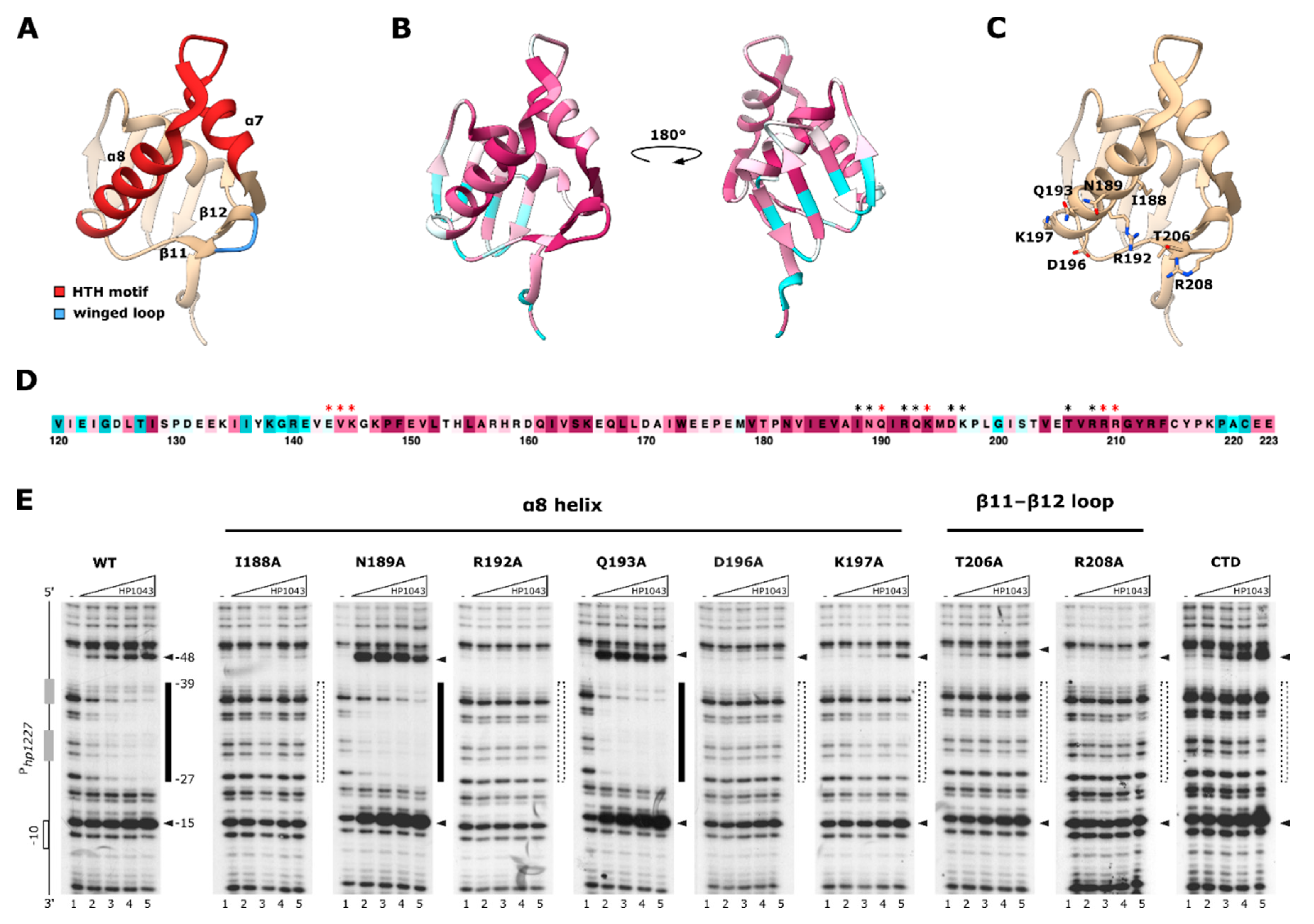 Ijms 22 07848 g002 Ijms 22 07848 g002