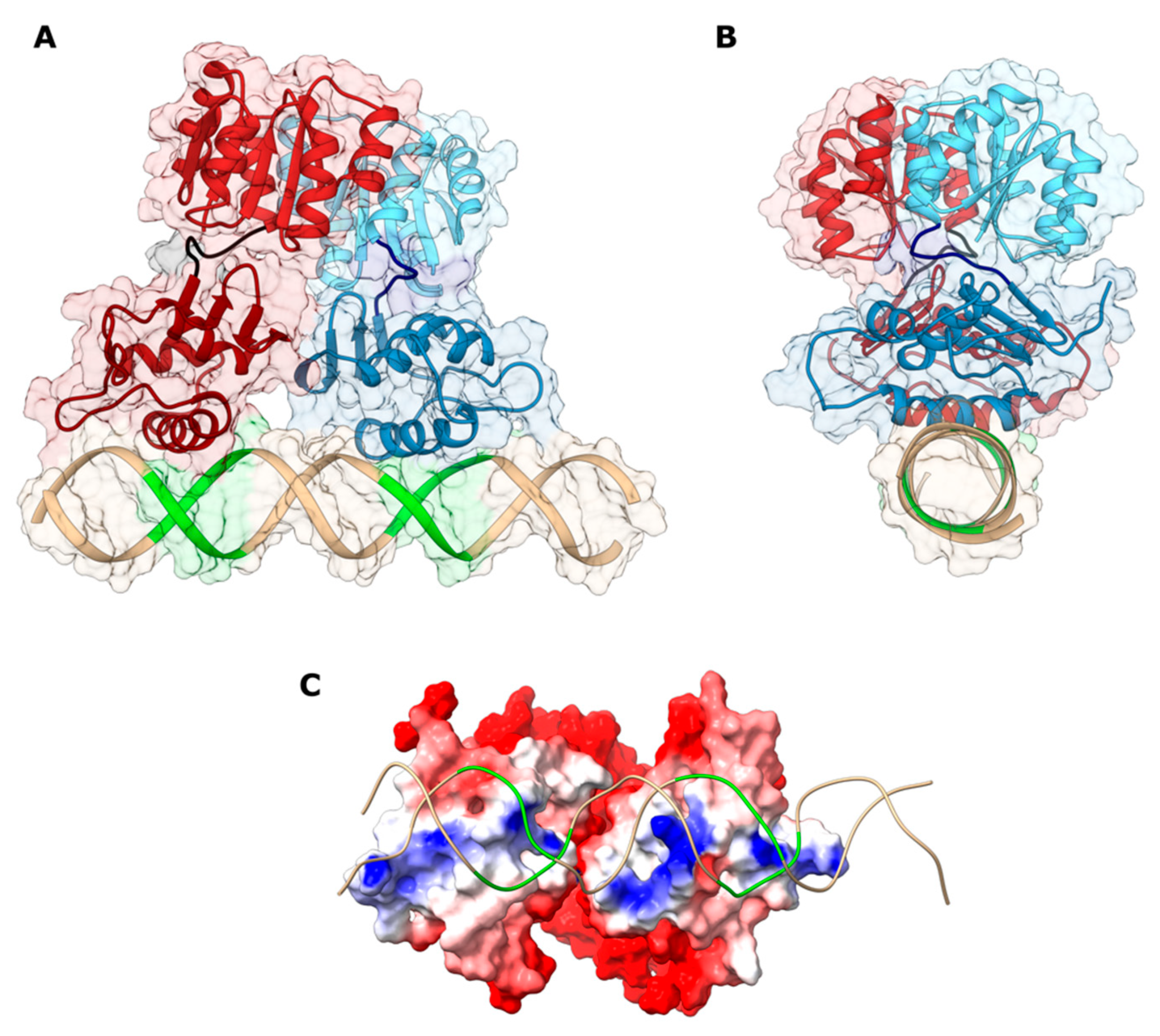 Ijms 22 07848 g004 Ijms 22 07848 g004