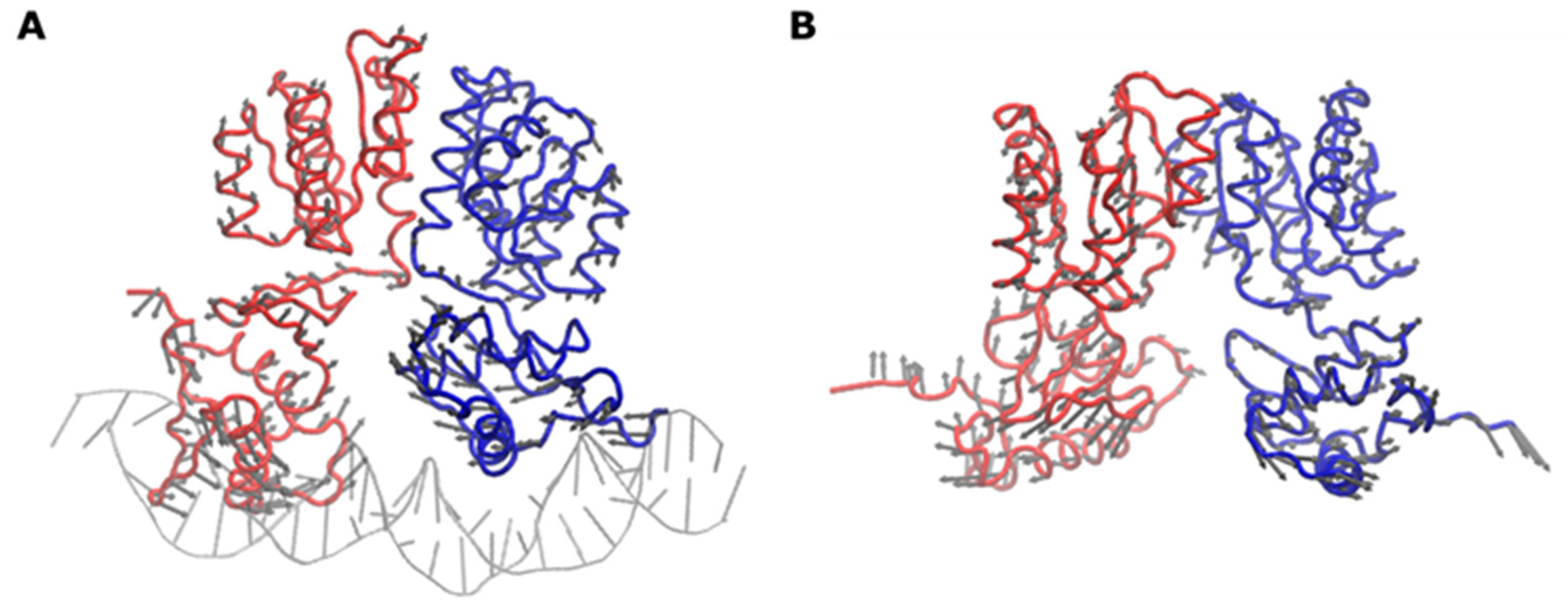 Ijms 22 07848 g005 Ijms 22 07848 g005