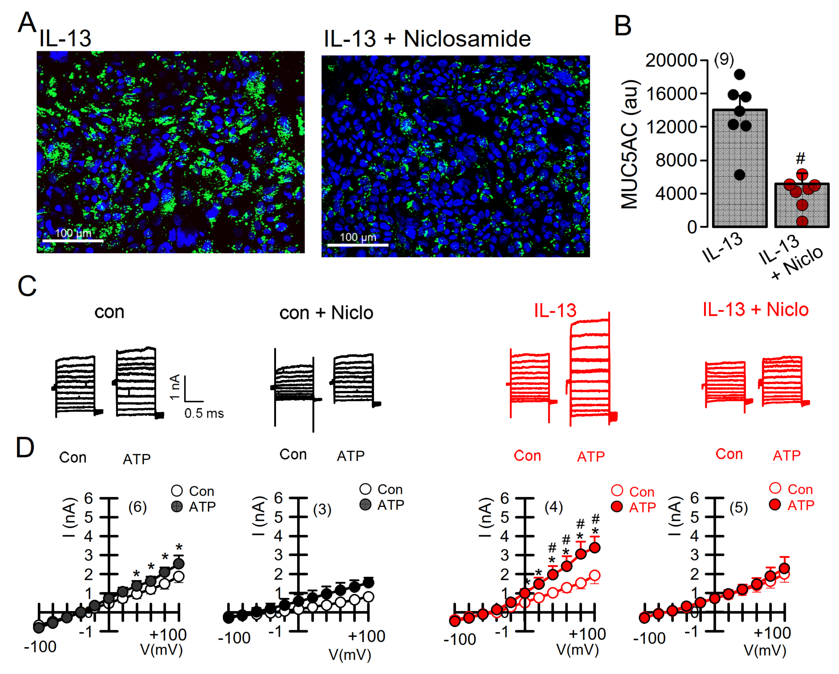 Ijms 22 07852 g005 550