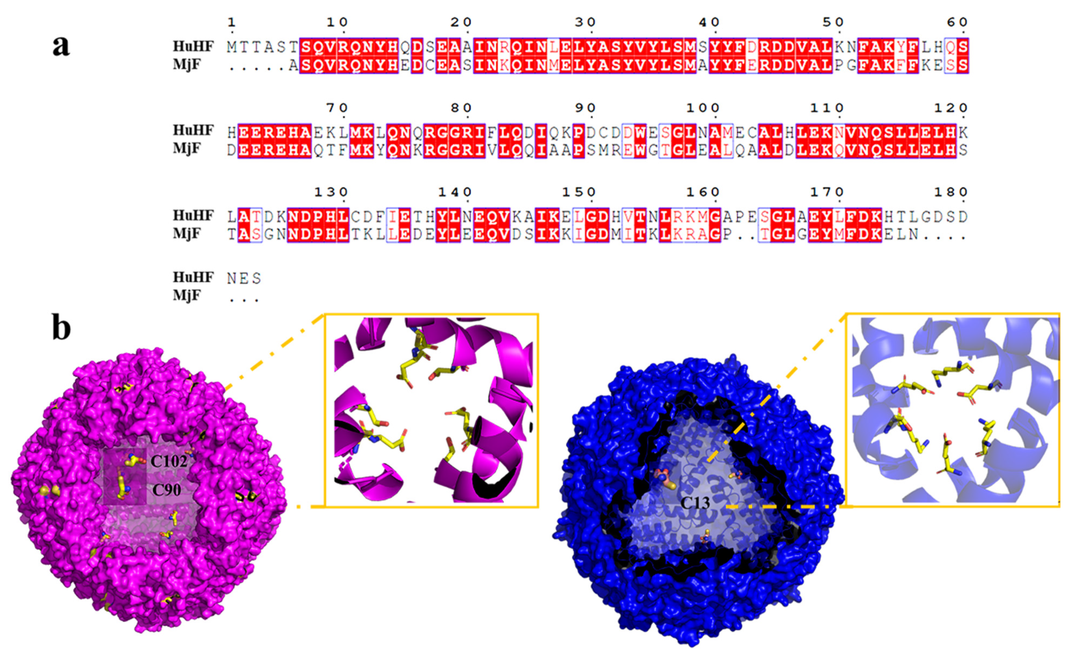 Ijms 22 07859 g003 550
