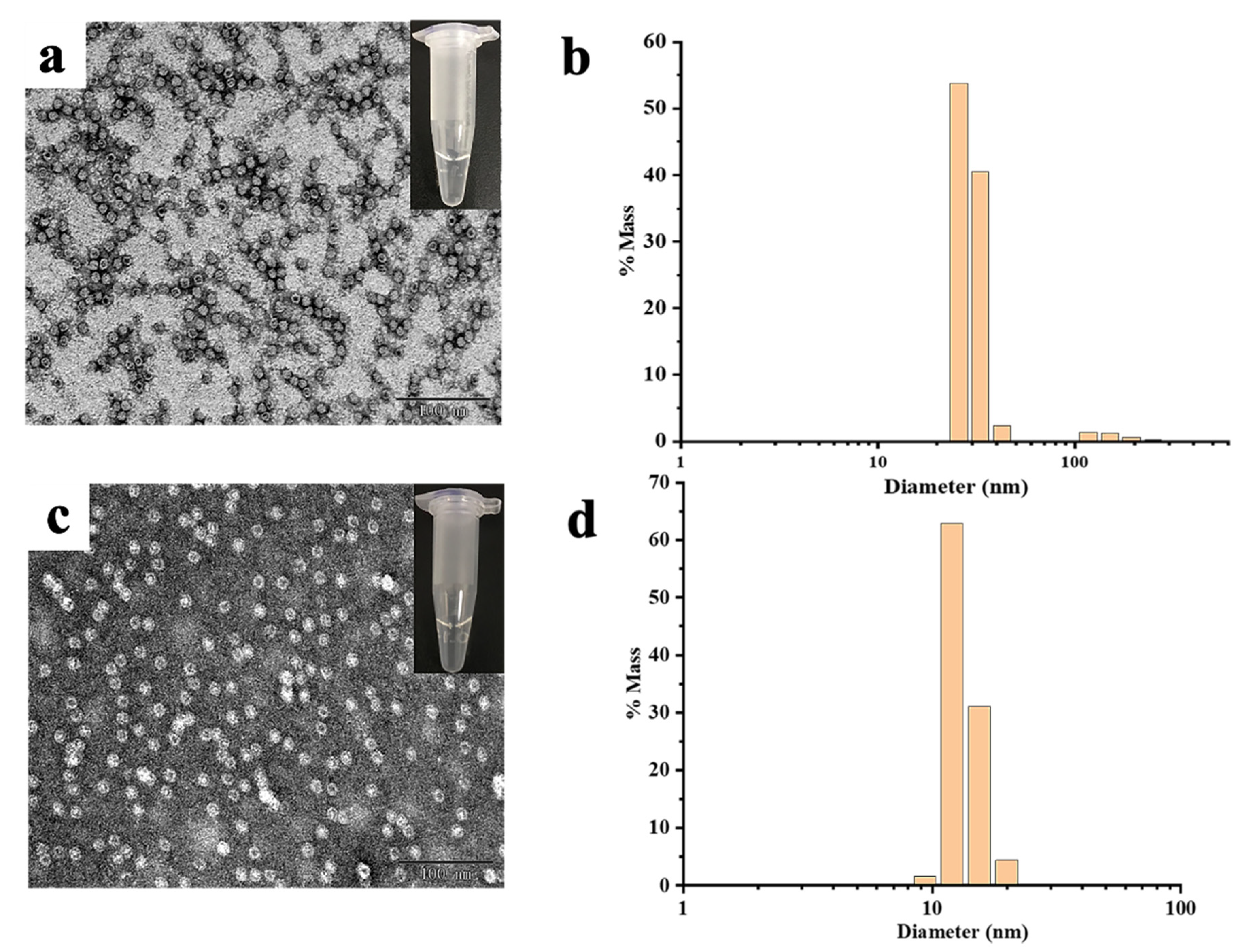 Ijms 22 07859 g004 550