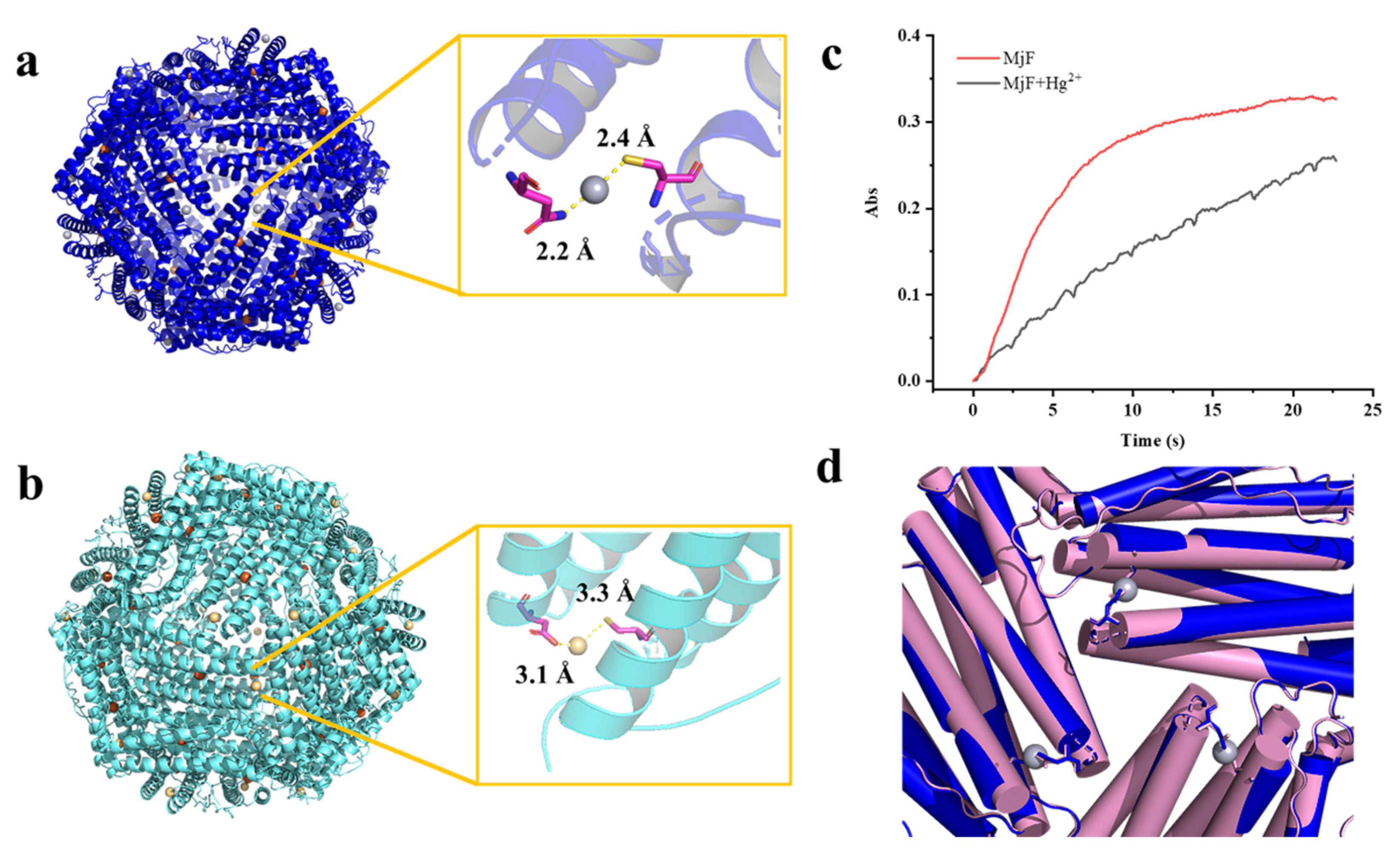 Ijms 22 07859 g007 550