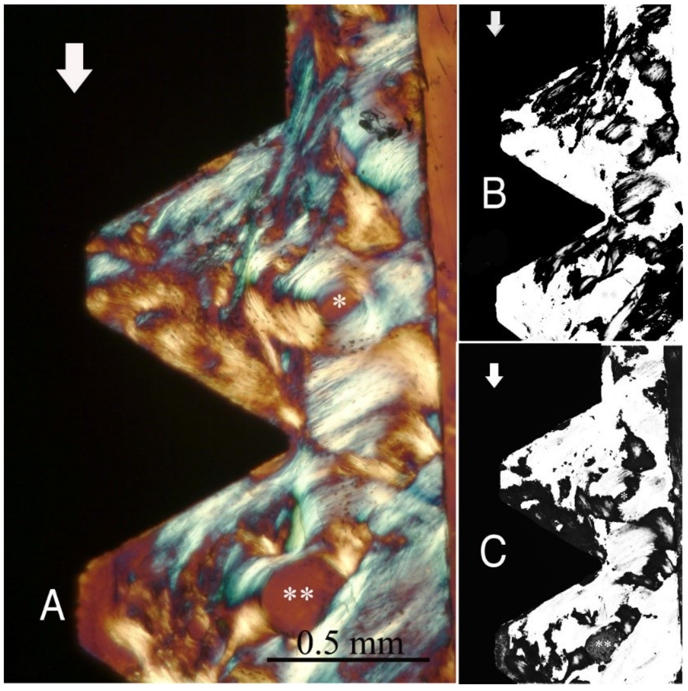 Ijms 22 07860 g001 550