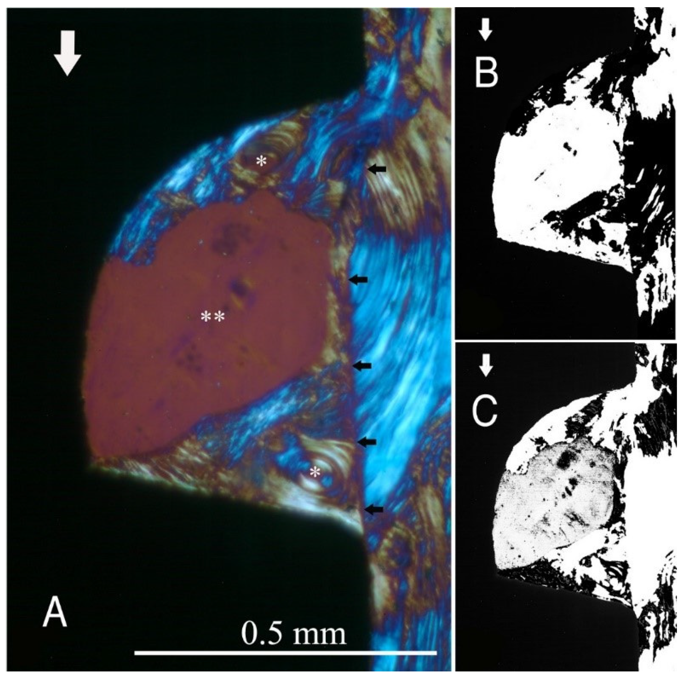 Ijms 22 07860 g002 550