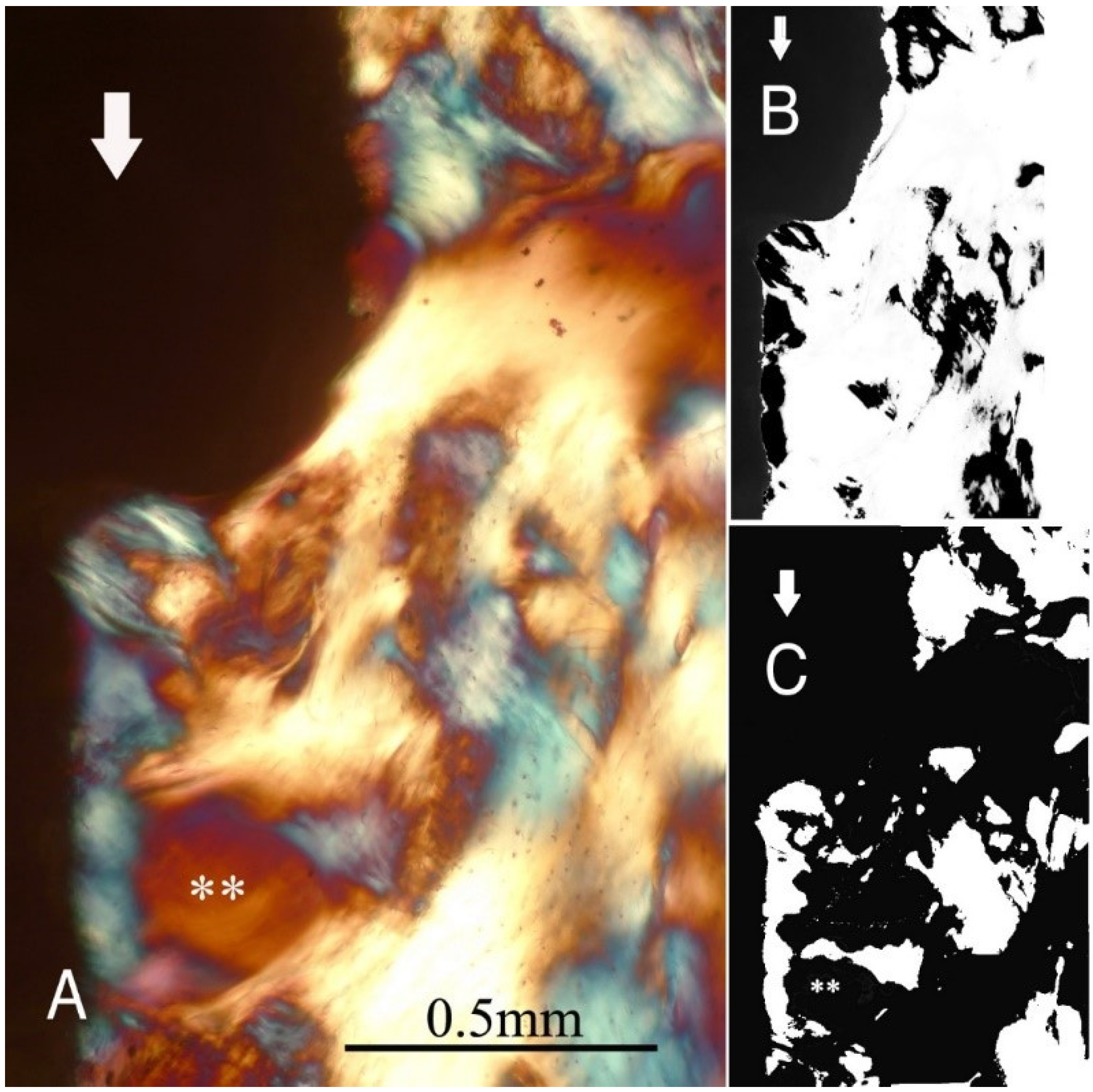 Ijms 22 07860 g003 550