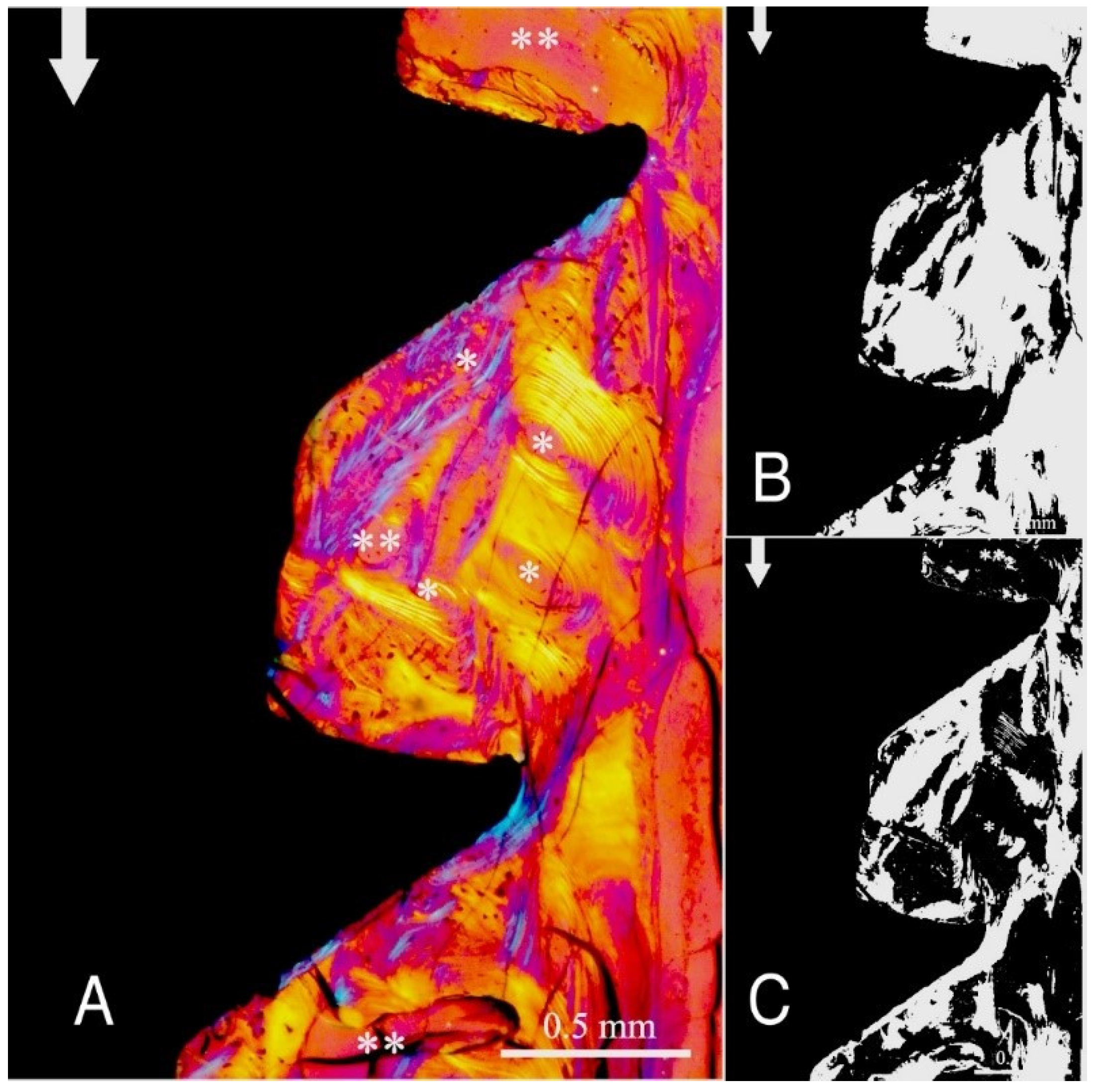 Ijms 22 07860 g004 550