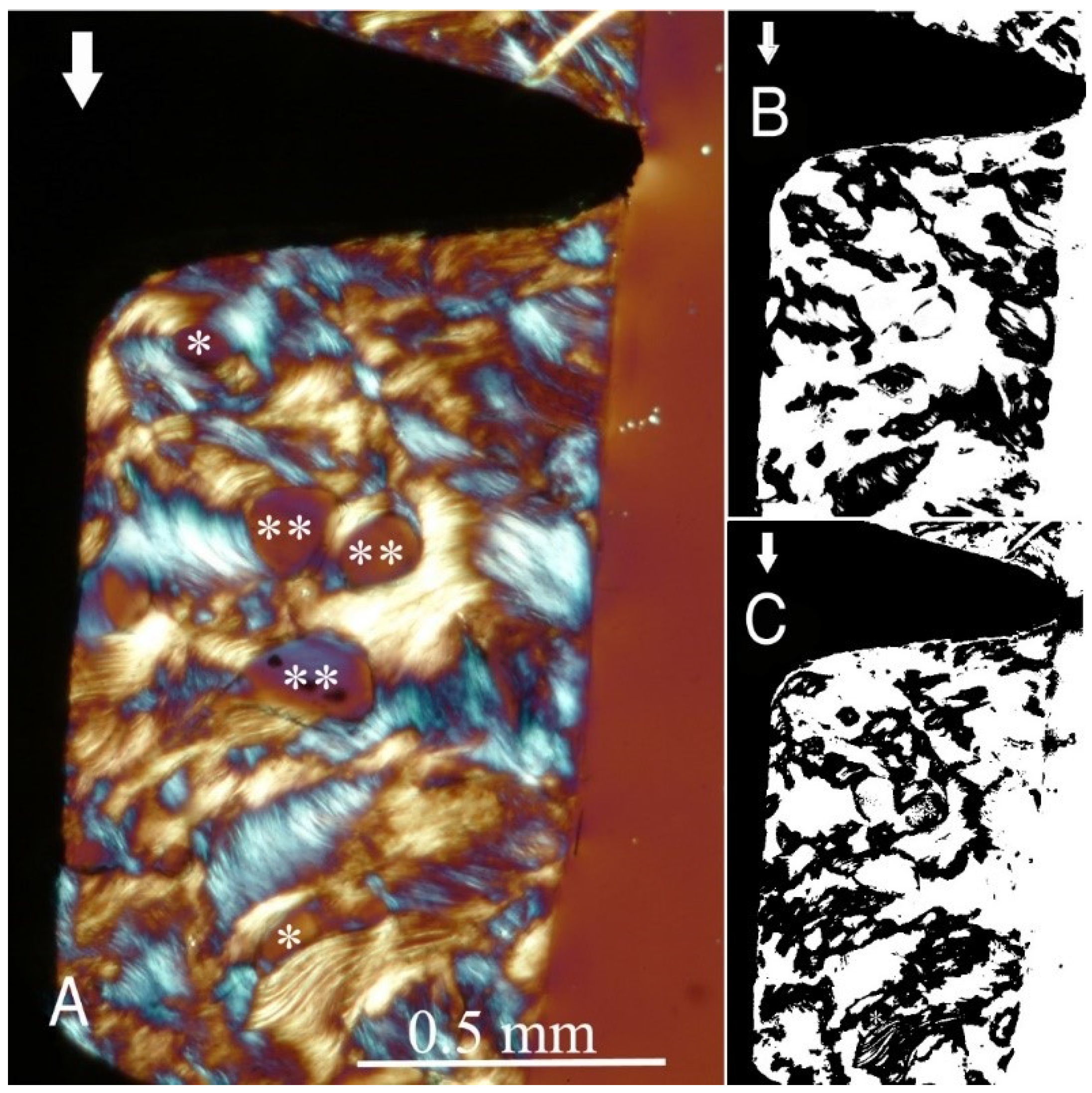 Ijms 22 07860 g005 550