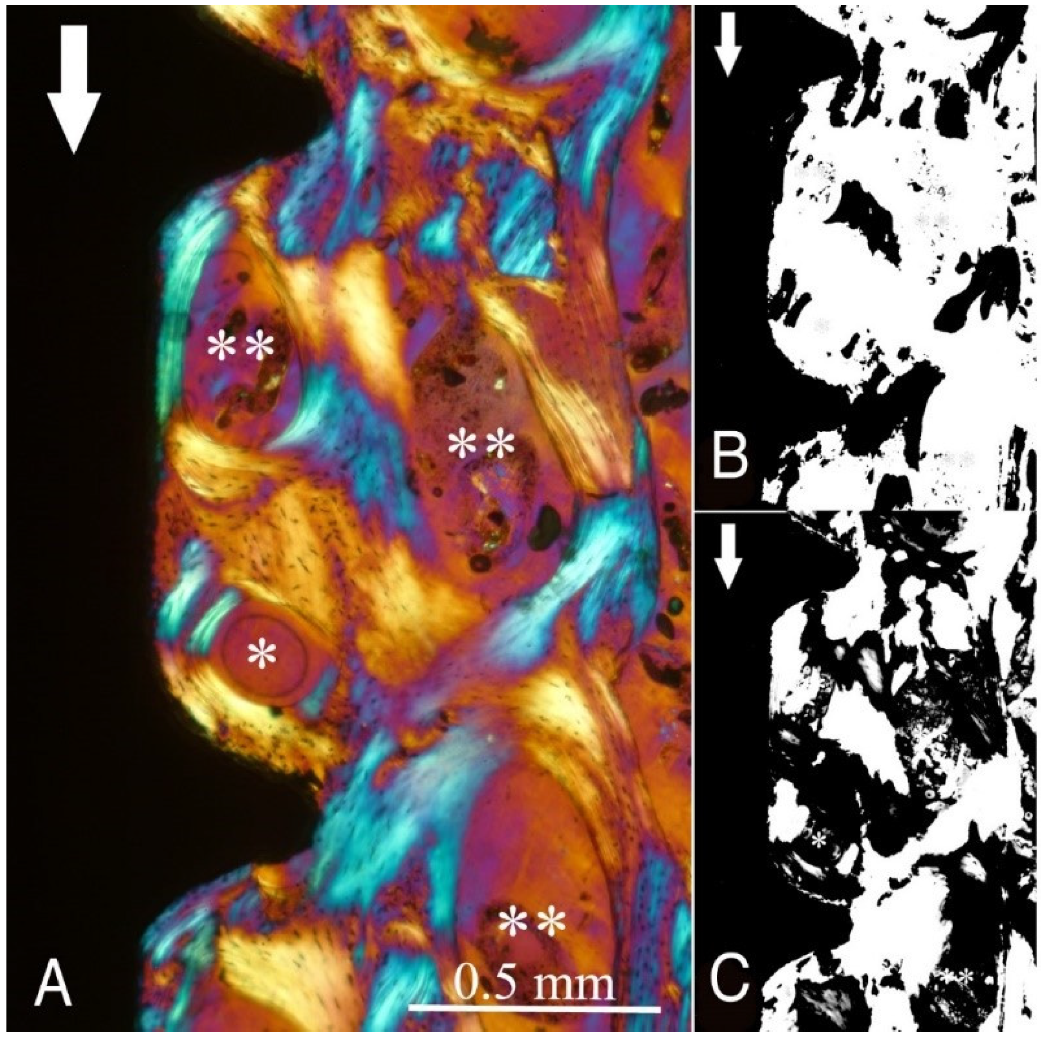 Ijms 22 07860 g006 550