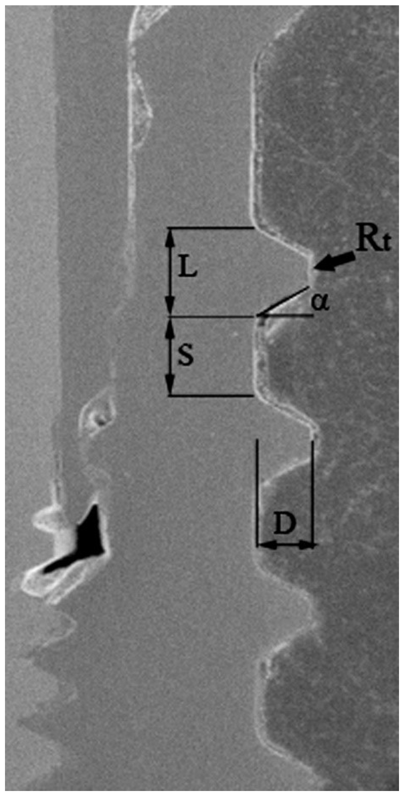 Ijms 22 07860 g008 550