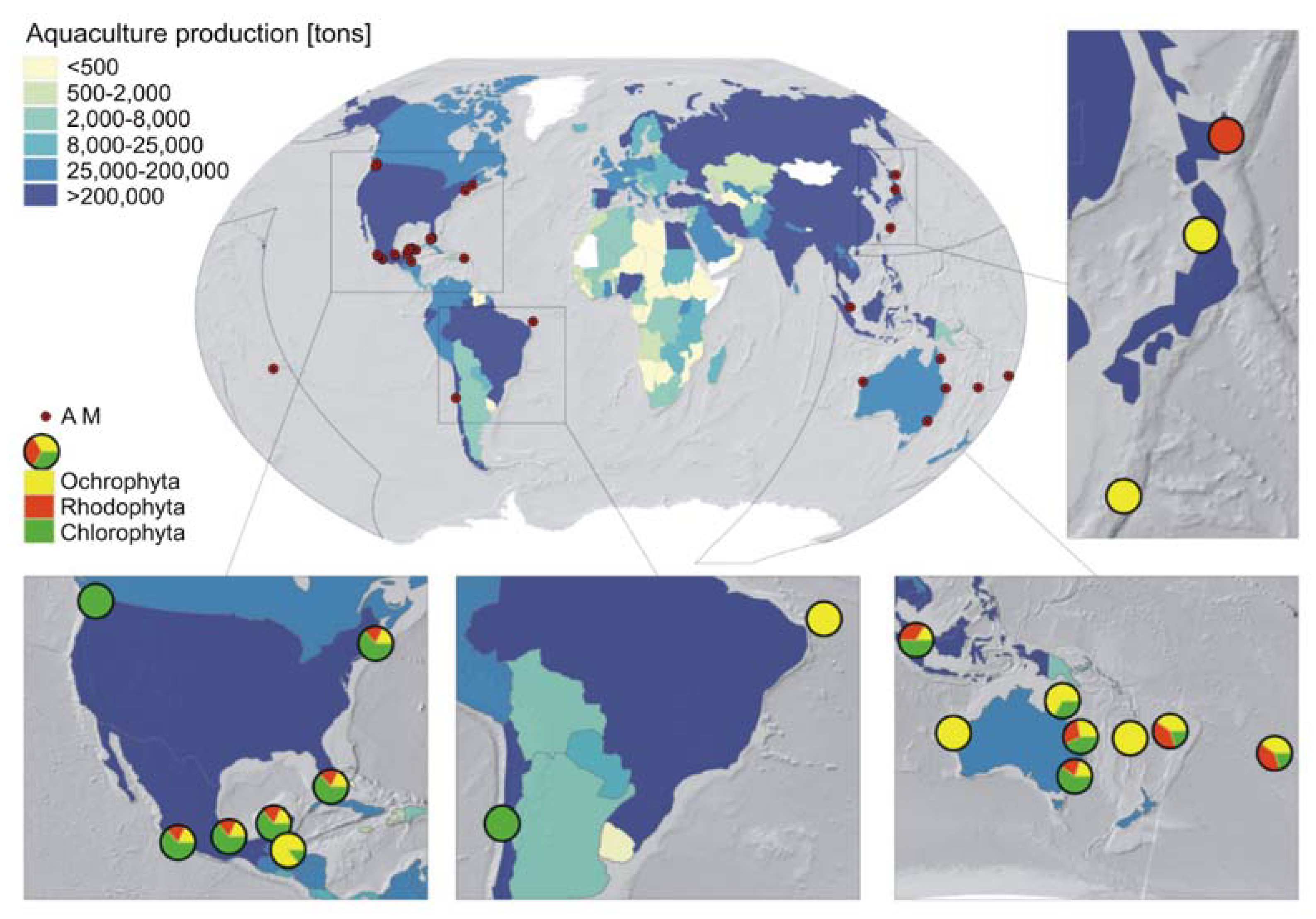 Ijms 22 07865 g002 Ijms 22 07865 g002