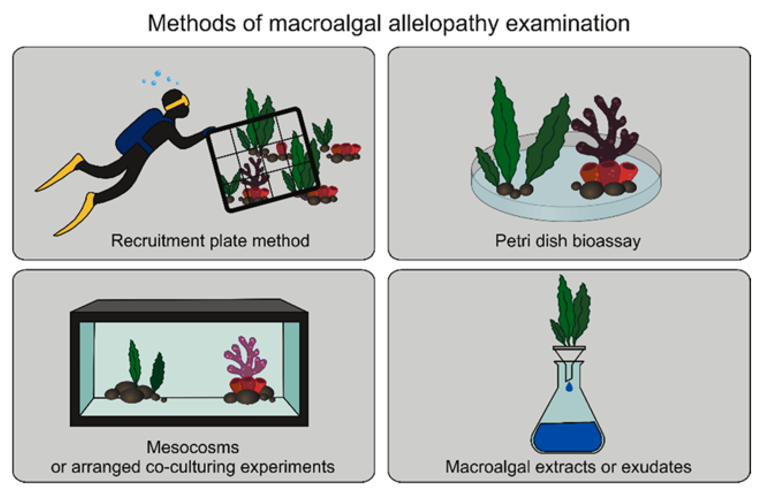 Ijms 22 07865 g003 Ijms 22 07865 g003