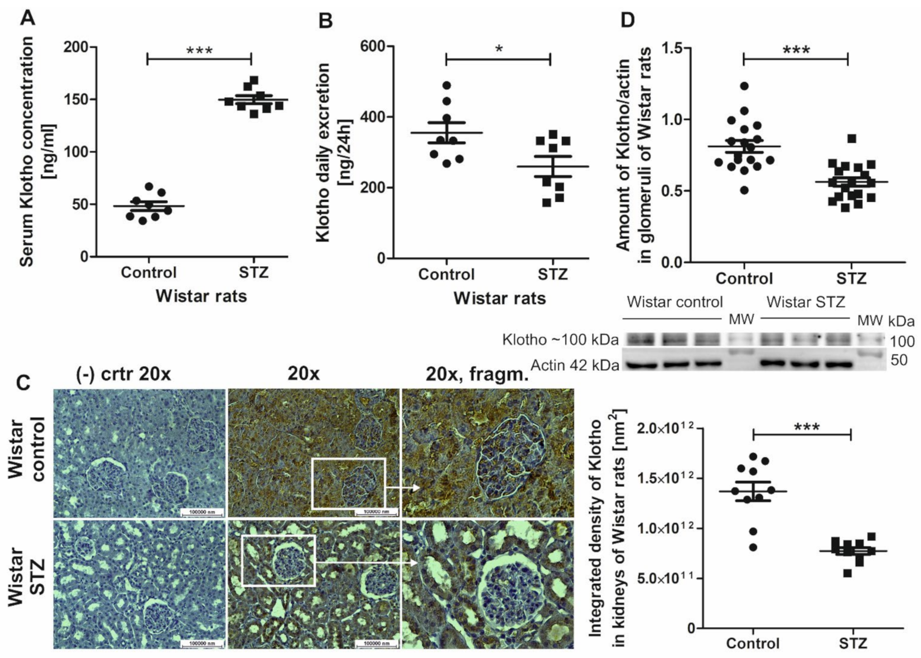 Ijms 22 07867 g001 Ijms 22 07867 g001