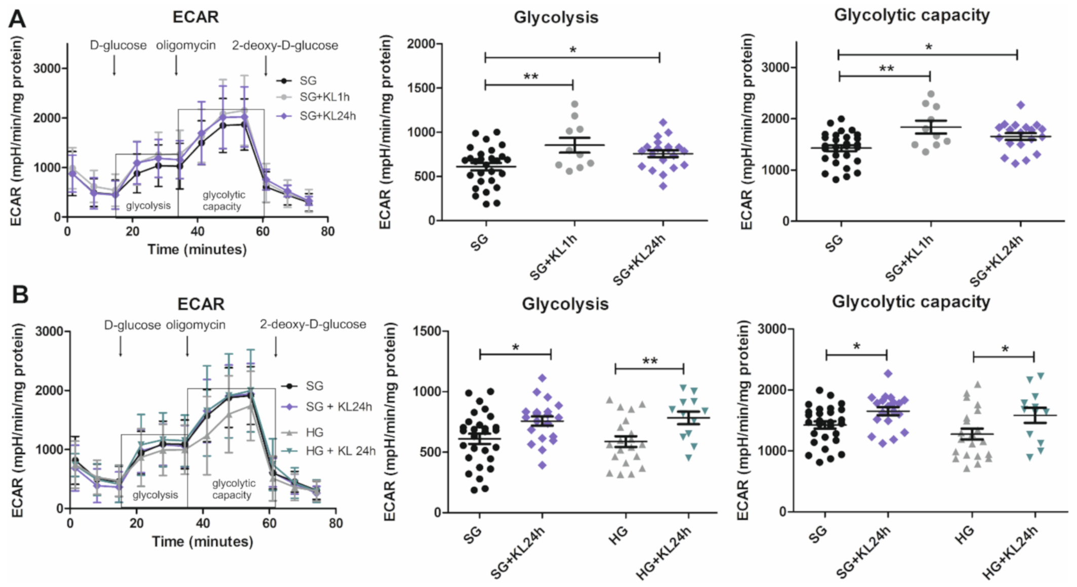 Ijms 22 07867 g005 Ijms 22 07867 g005