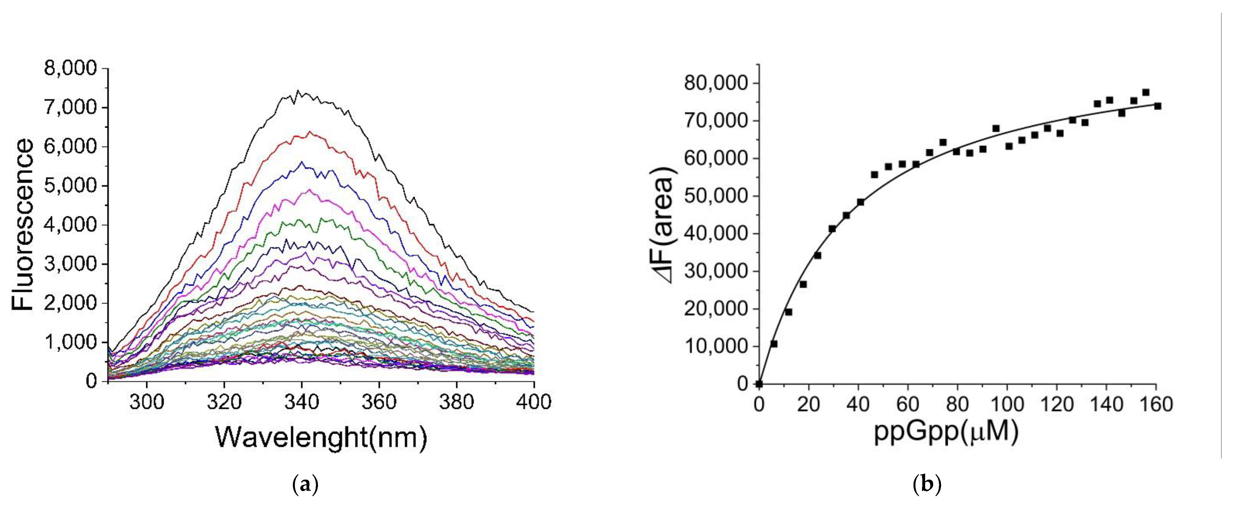 Ijms 22 07871 g001 Ijms 22 07871 g001