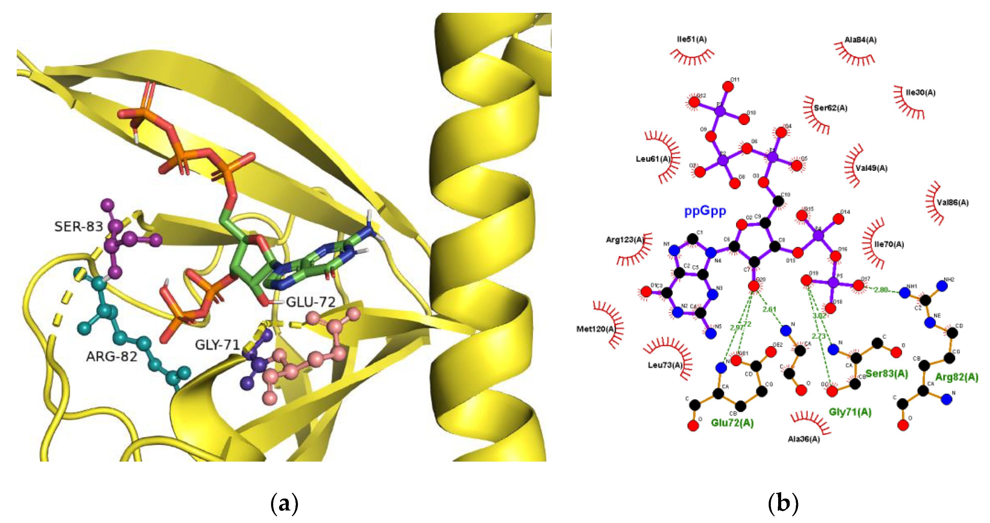 Ijms 22 07871 g002 Ijms 22 07871 g002