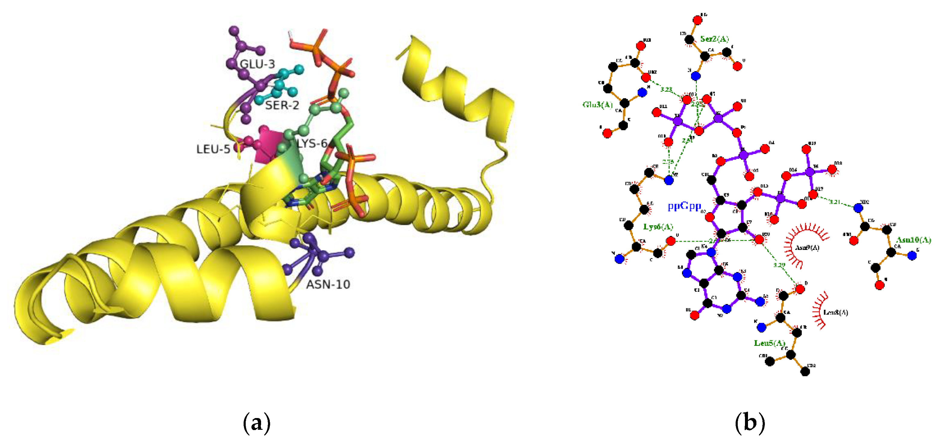 Ijms 22 07871 g004 Ijms 22 07871 g004