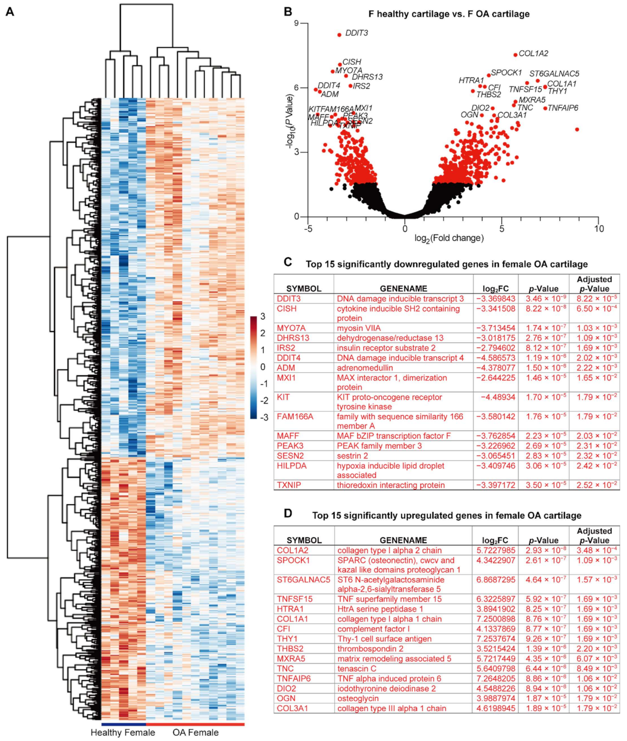 Ijms 22 07876 g002 550