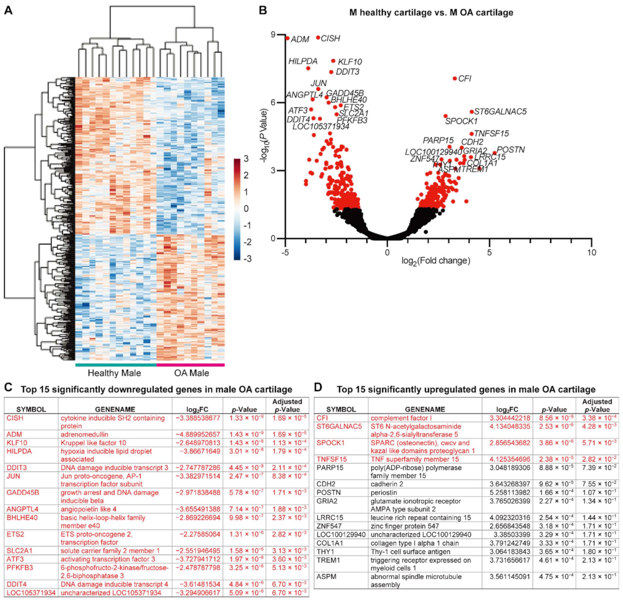 Ijms 22 07876 g003 550