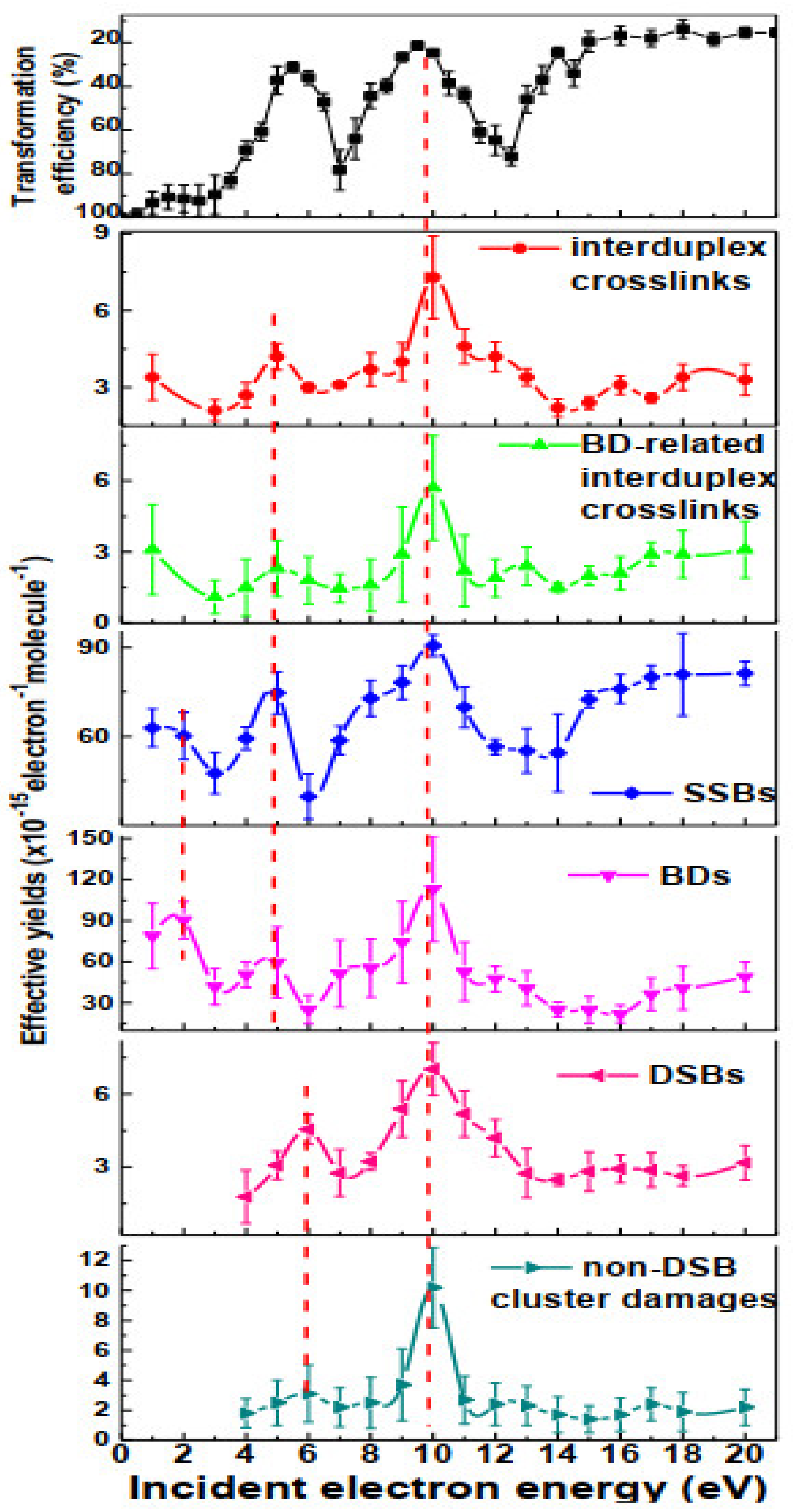 Ijms 22 07879 g002 Ijms 22 07879 g002