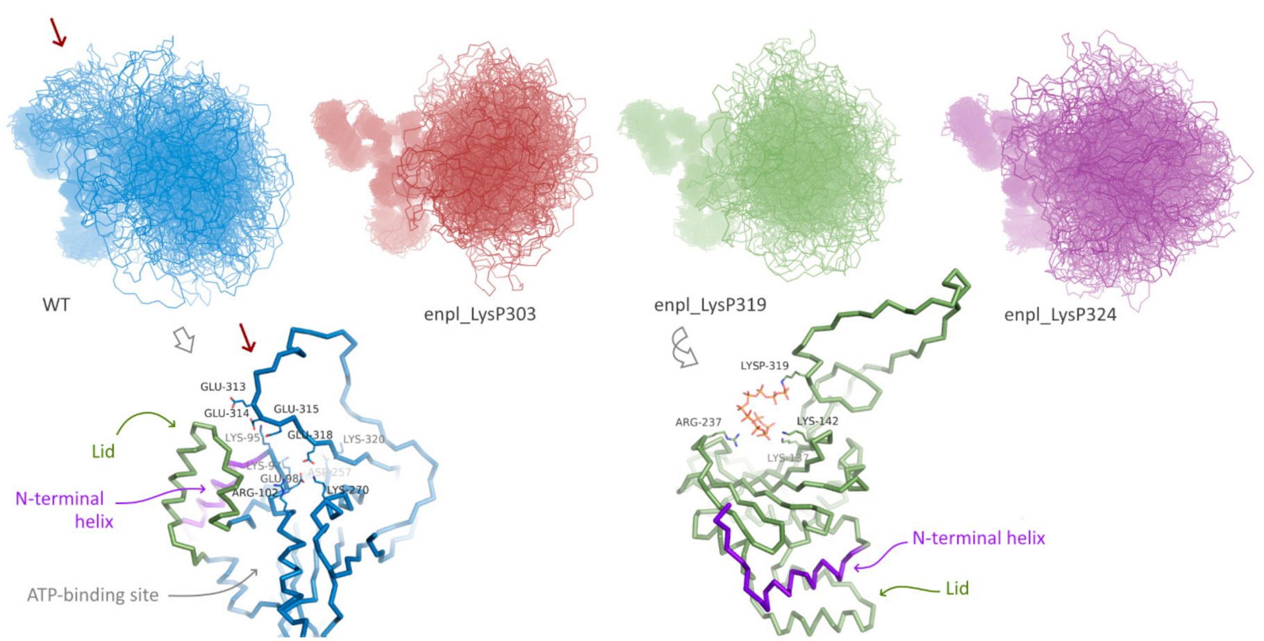 Ijms 22 07883 g004 550