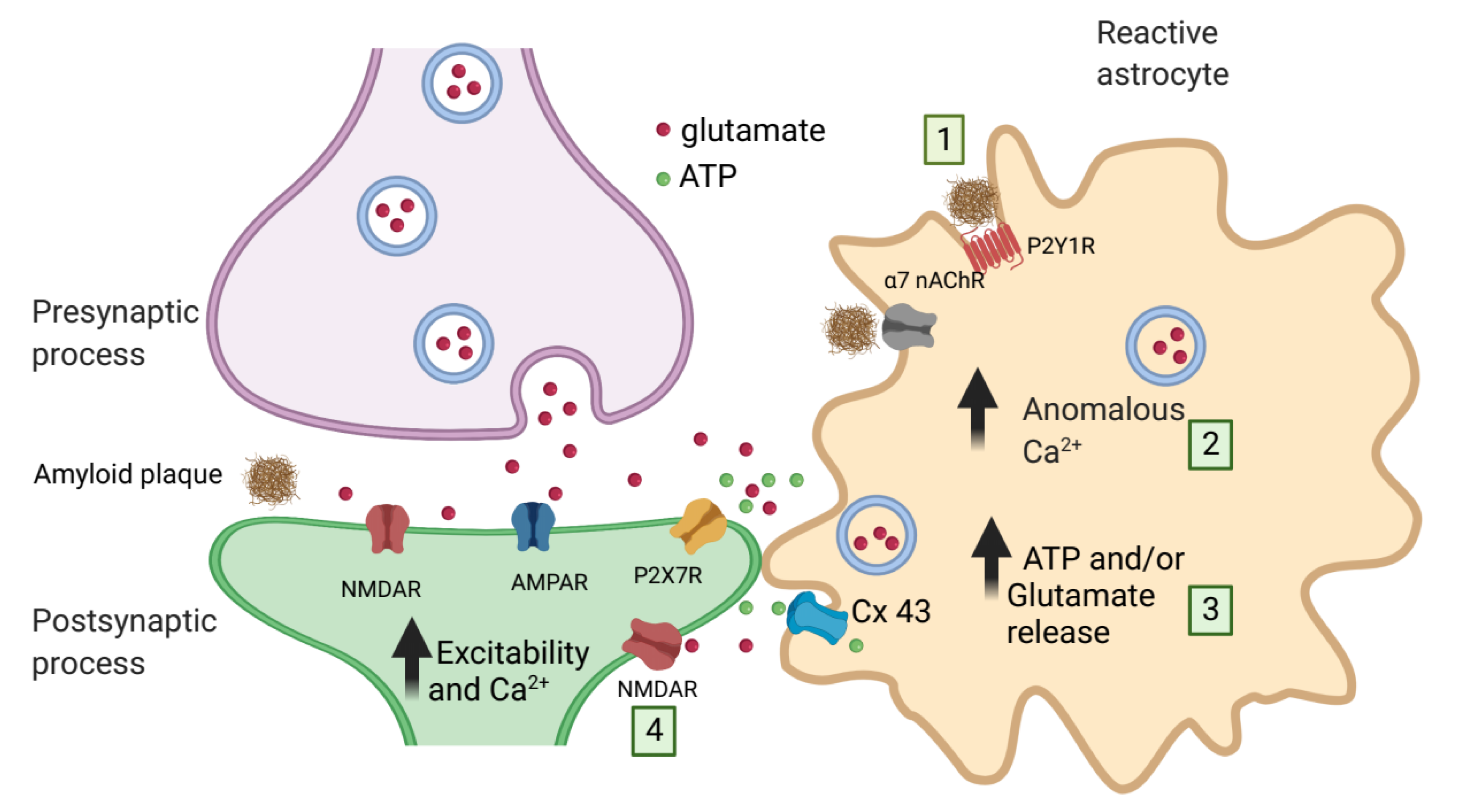Ijms 22 07887 g002 550