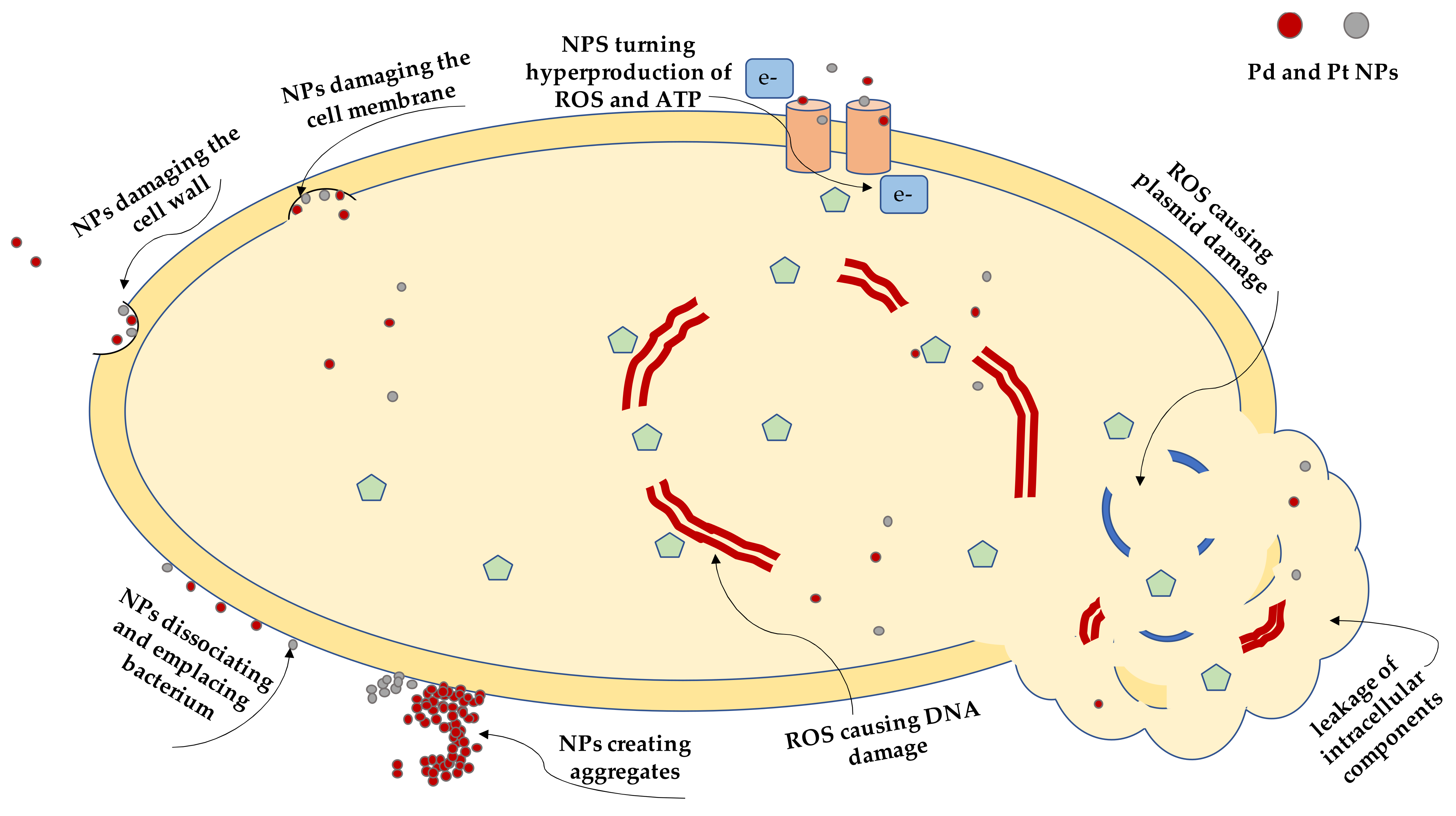 Ijms 22 07892 g001 550